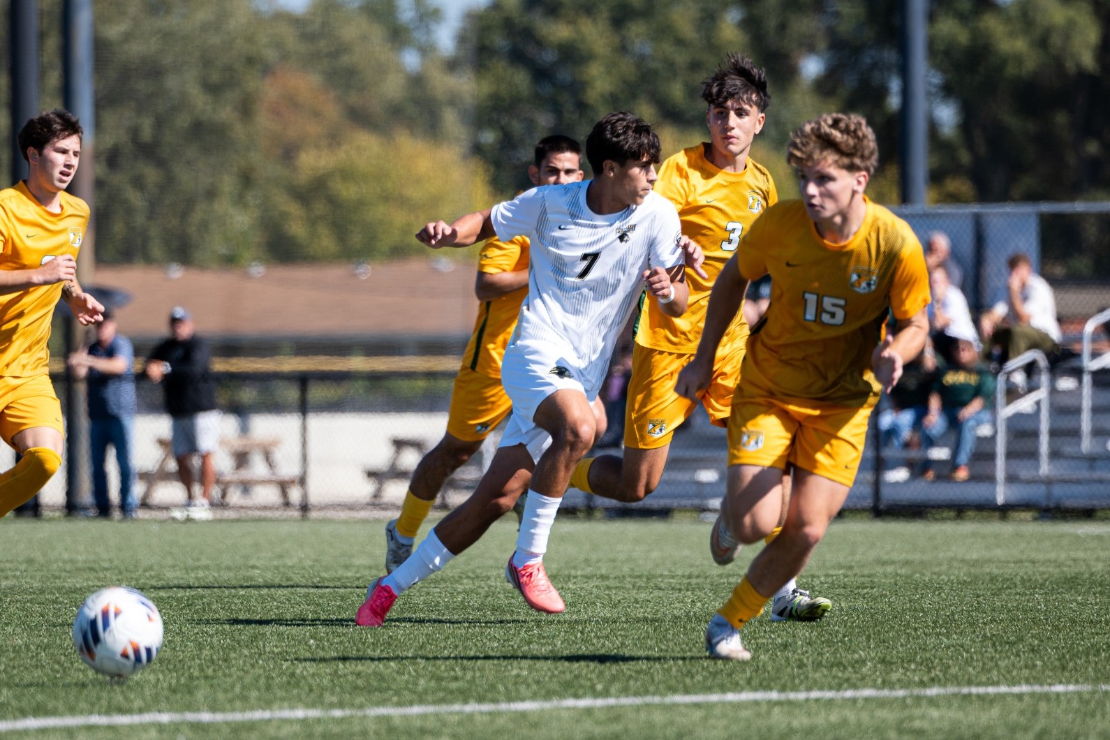 MS vs. NMU