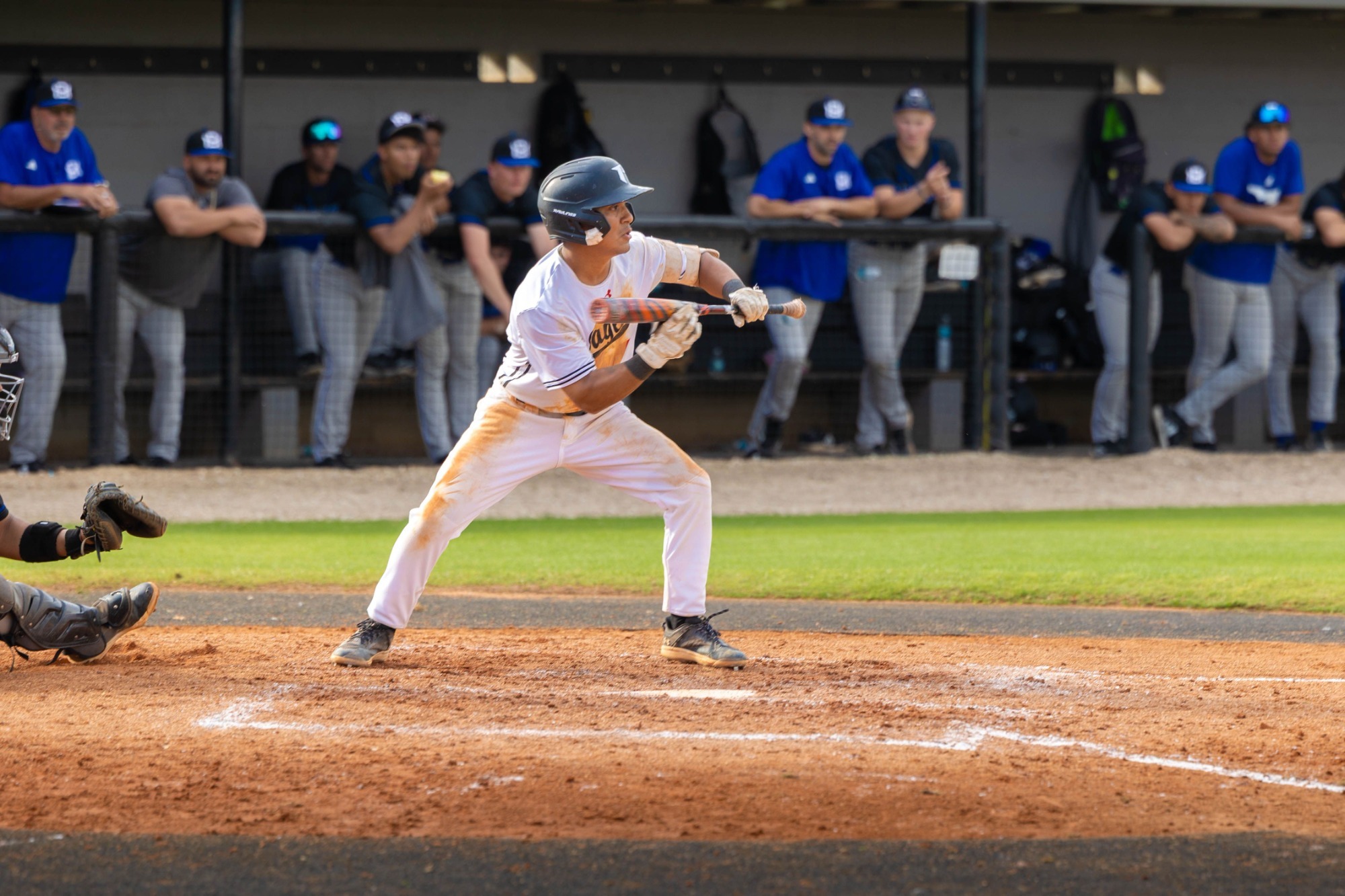 Josh Cruz squares to bunt in a contest against Miami Dade College