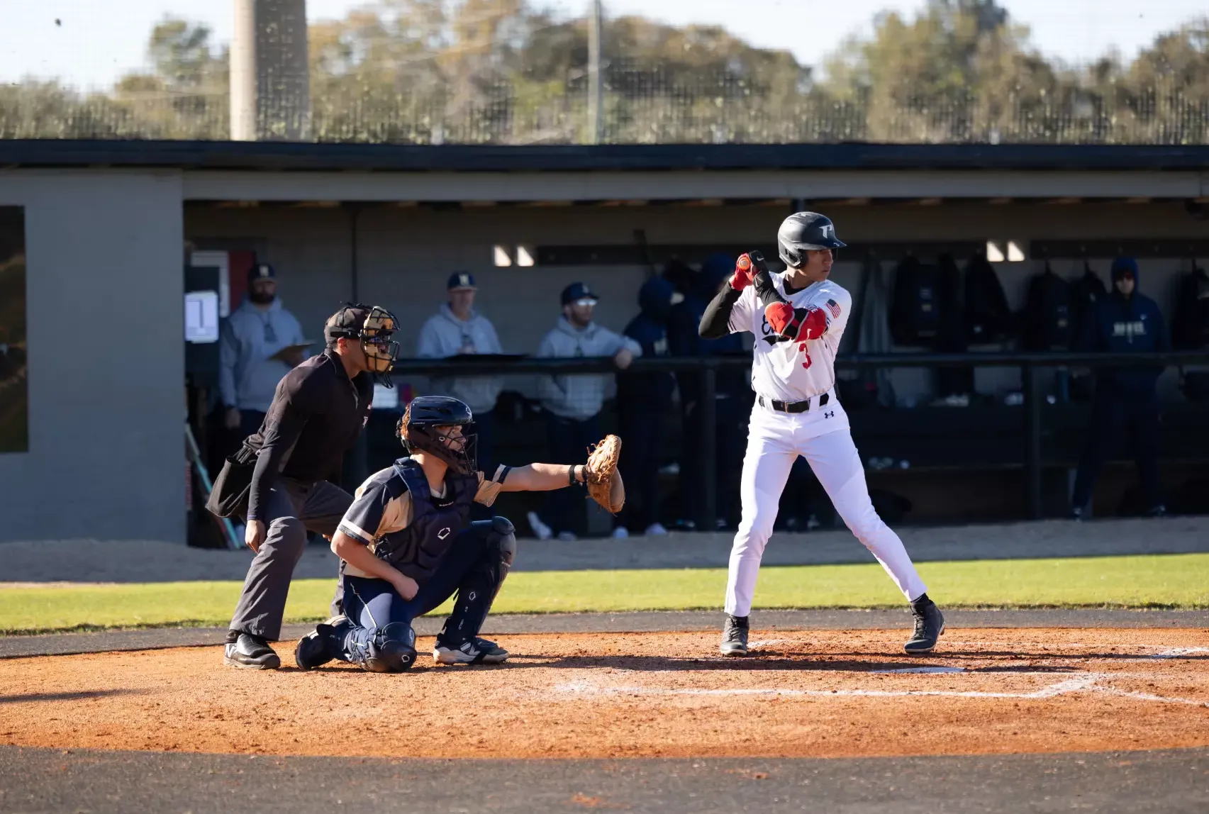 Gavalo bats against Hillsborough
