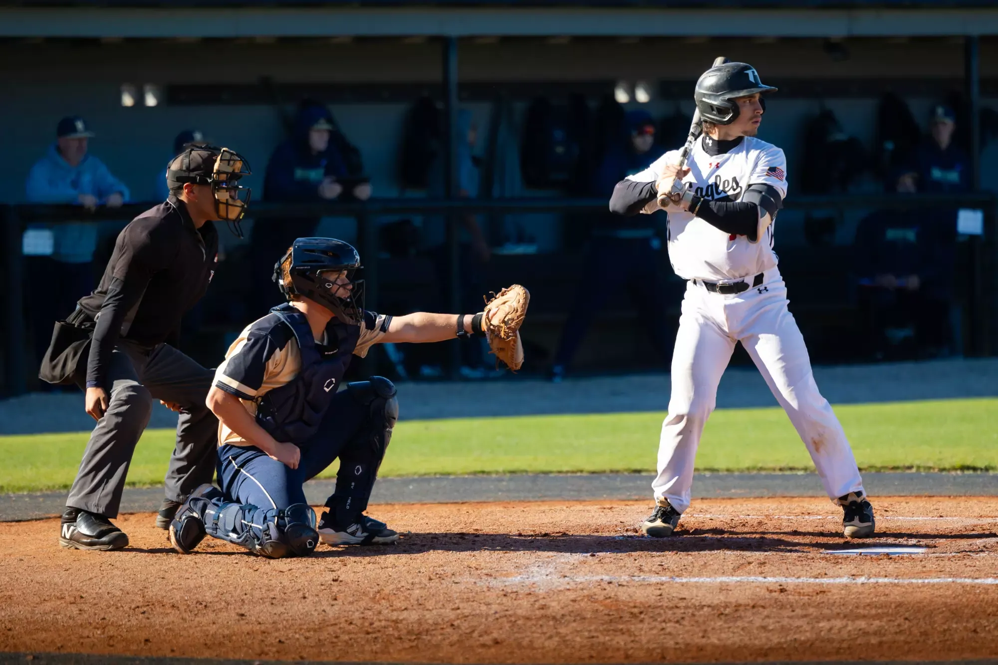 Montenegro bats against Hillsborough