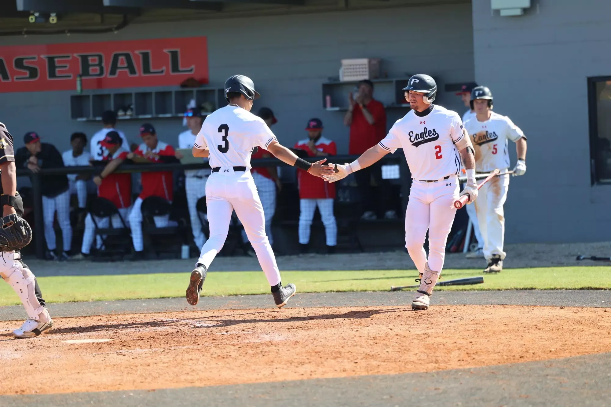 Polk State Baseball vs. Pasco-Hernando State College on Jan. 30
