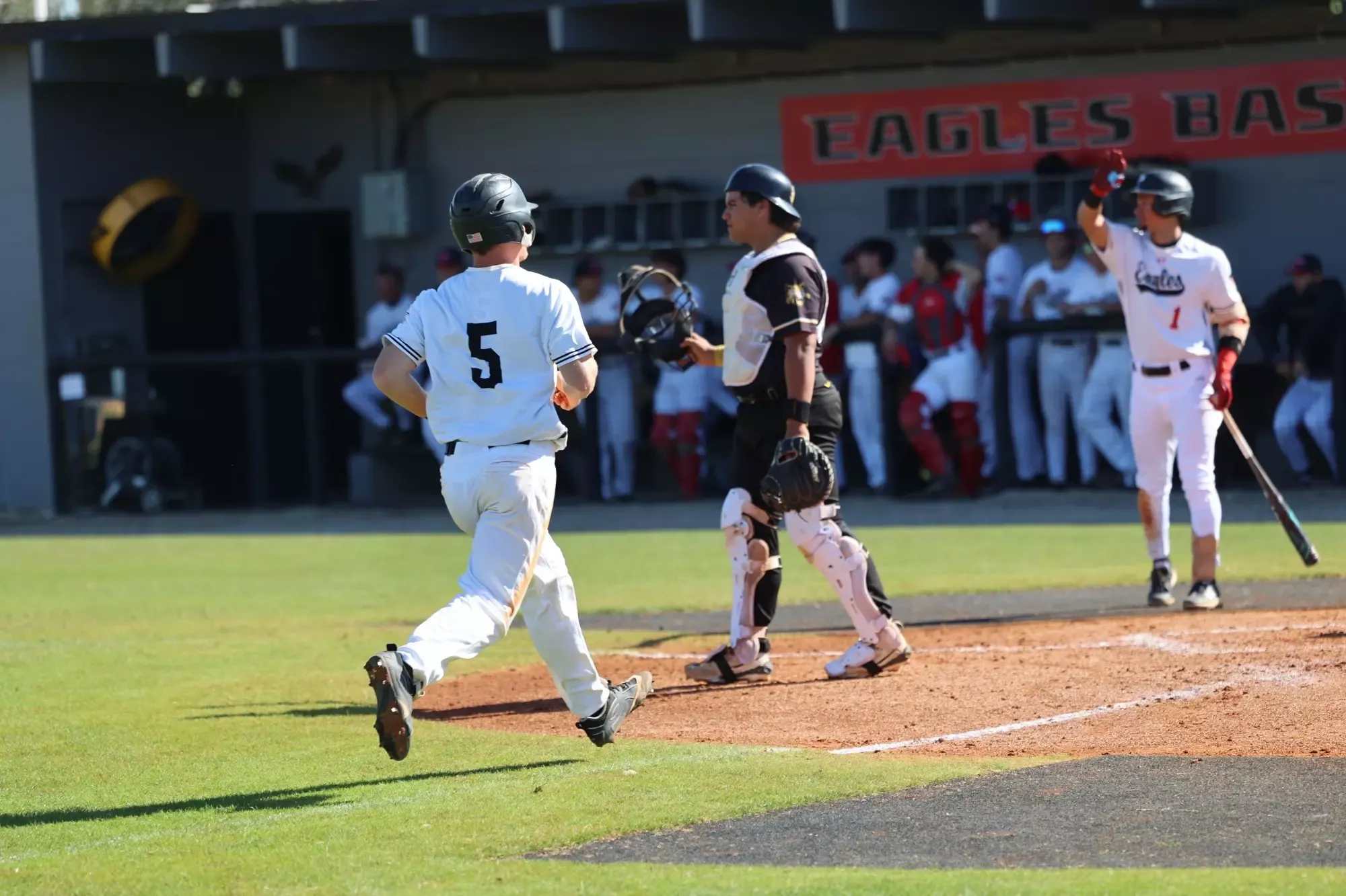 Polk State Baseball vs. Pasco-Hernando State College on Jan. 30