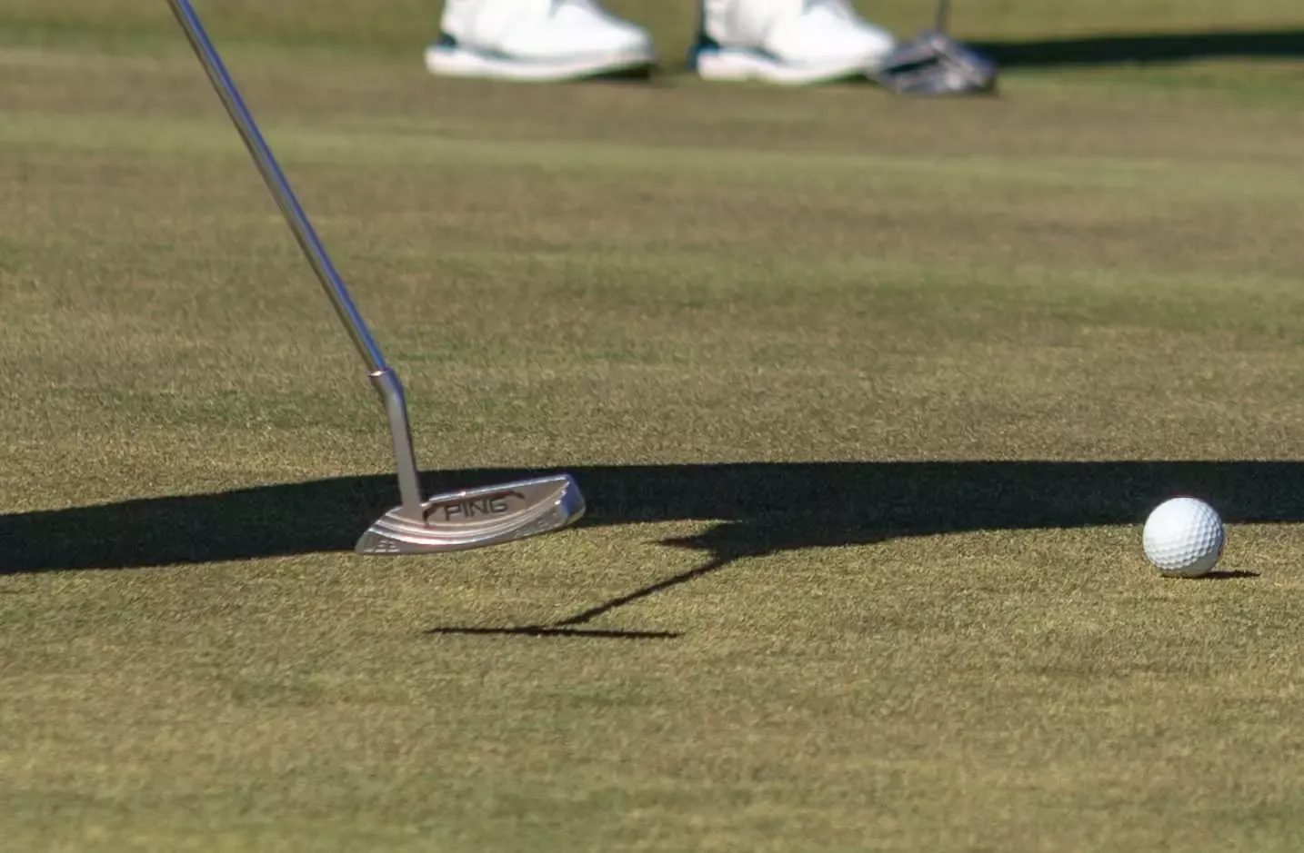 A photo that shows a golf ball on the green and a putter