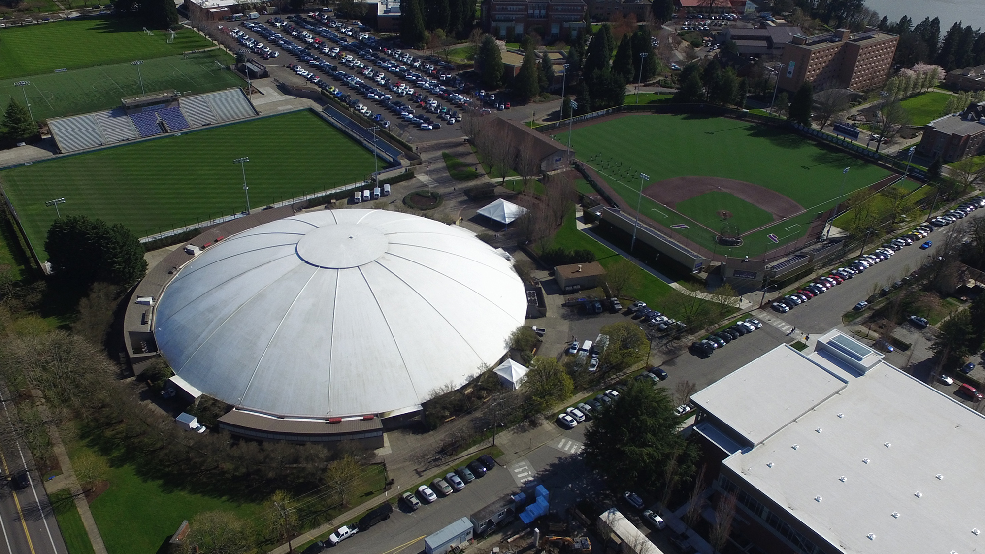 UP Athletics