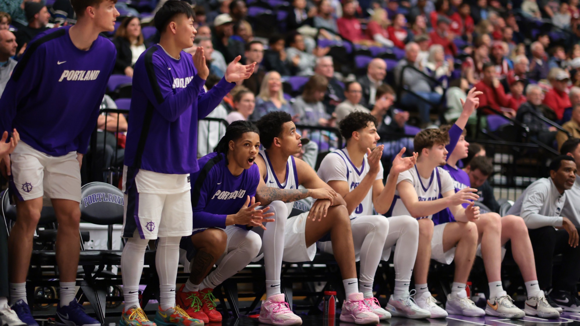 The Portland bench celebrates during a home game against Washington State.