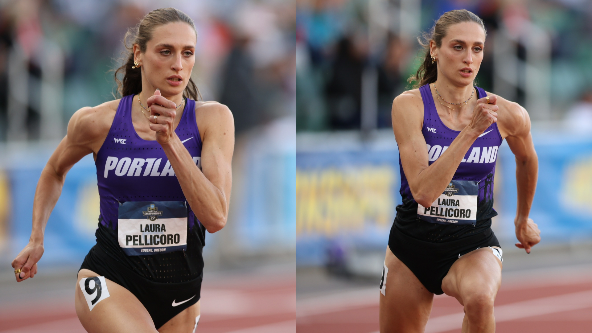 Pellicora at 800m Final