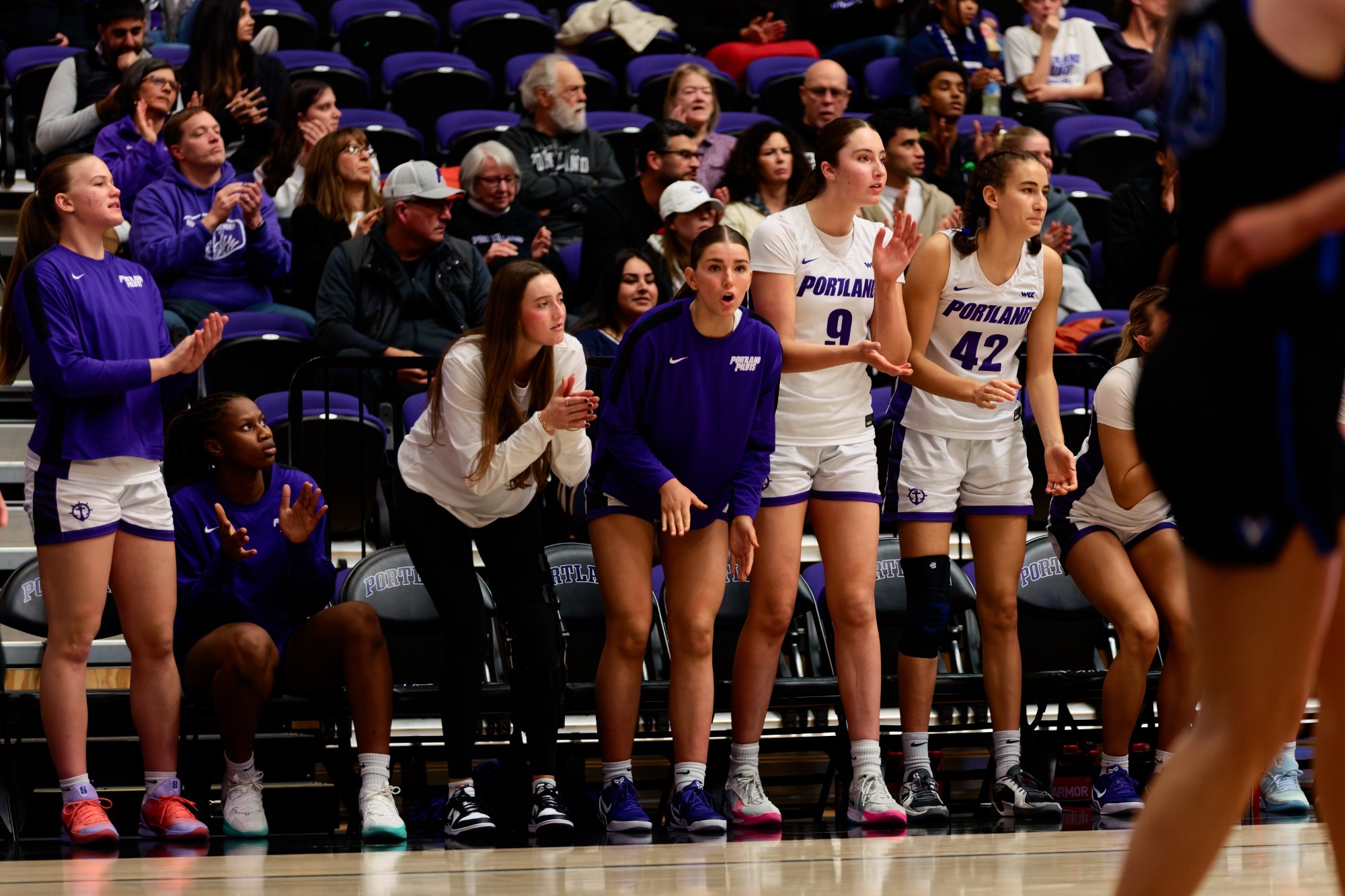 Portland's bench celebrates during a women's basketball home game.