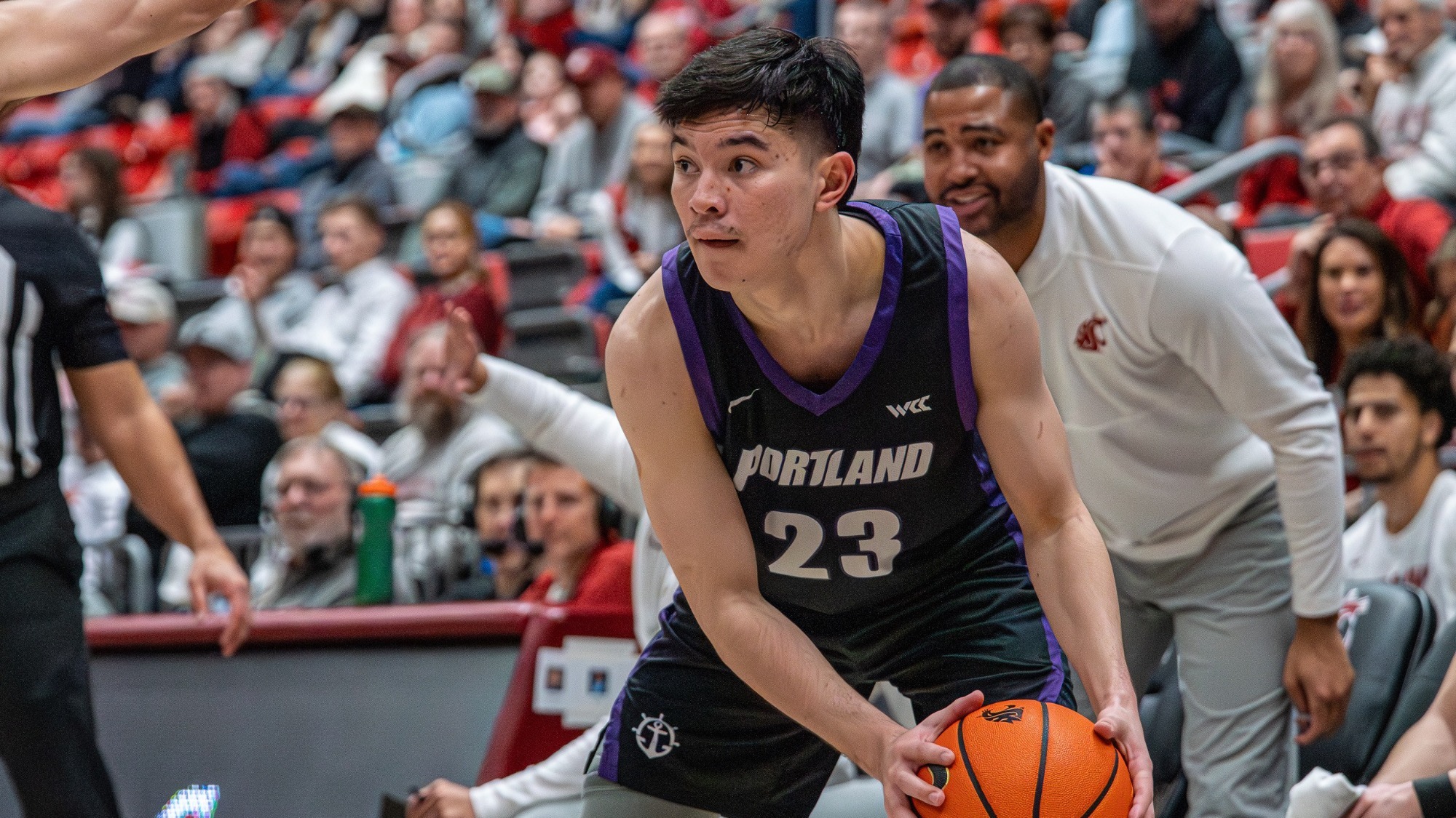 Joel Foxwell surveys the court in a road game at Washington State.