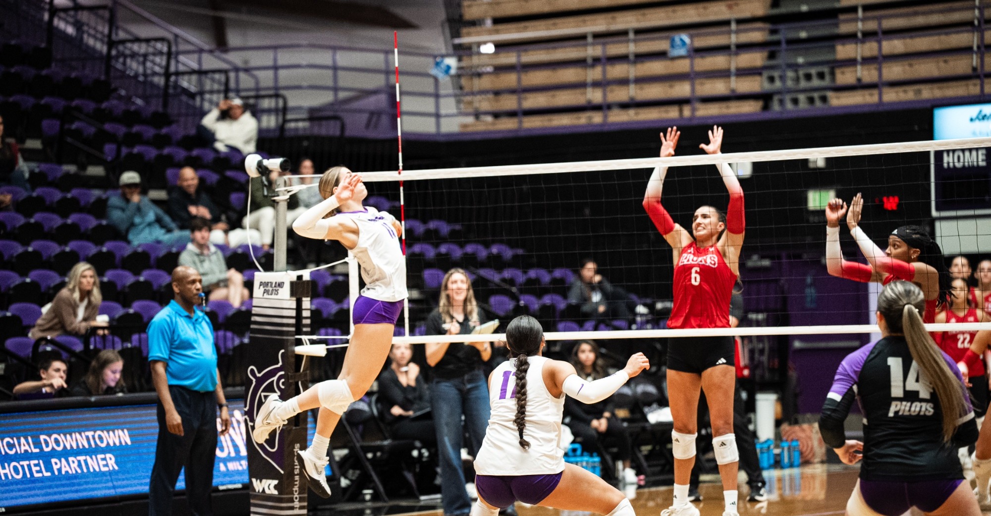 Haddock spiking the ball