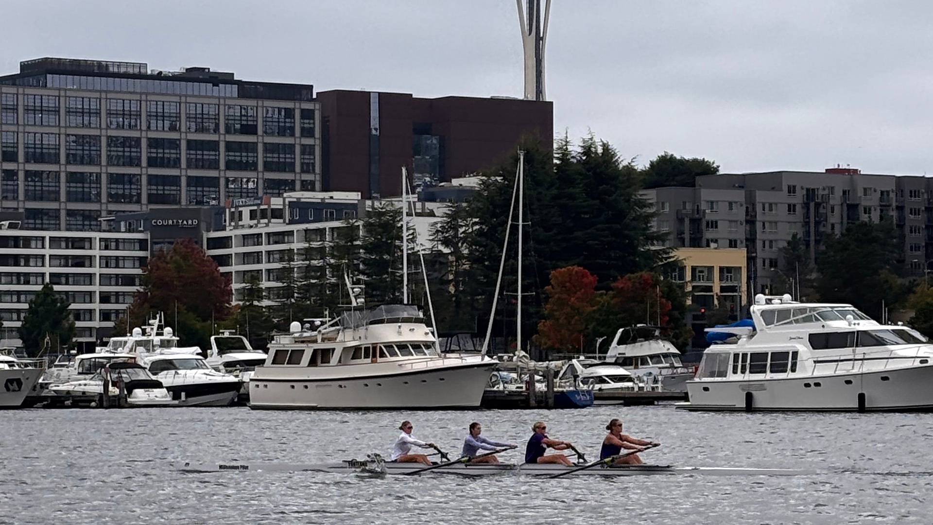 The Pilots row at the Tail of the Lake in Seattle.