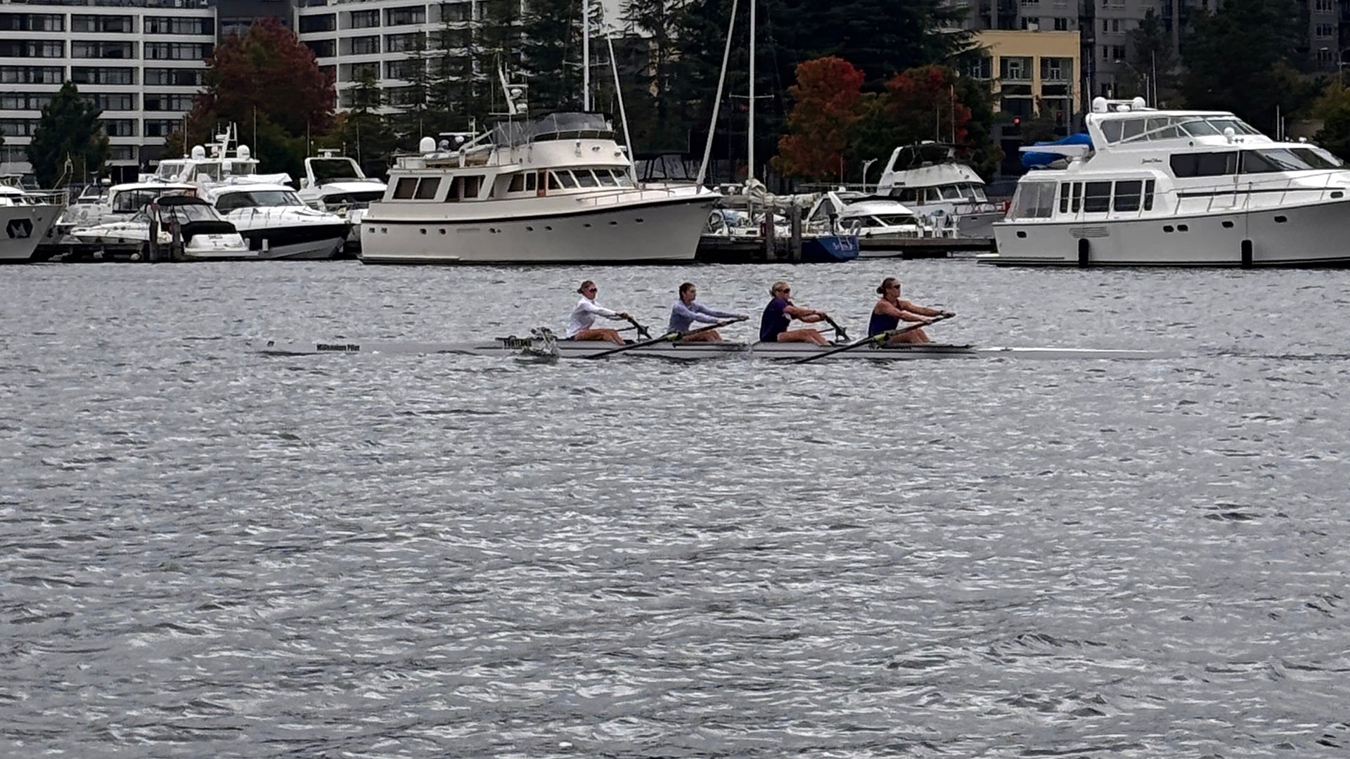 The varsity four at the Tail of the Lake.