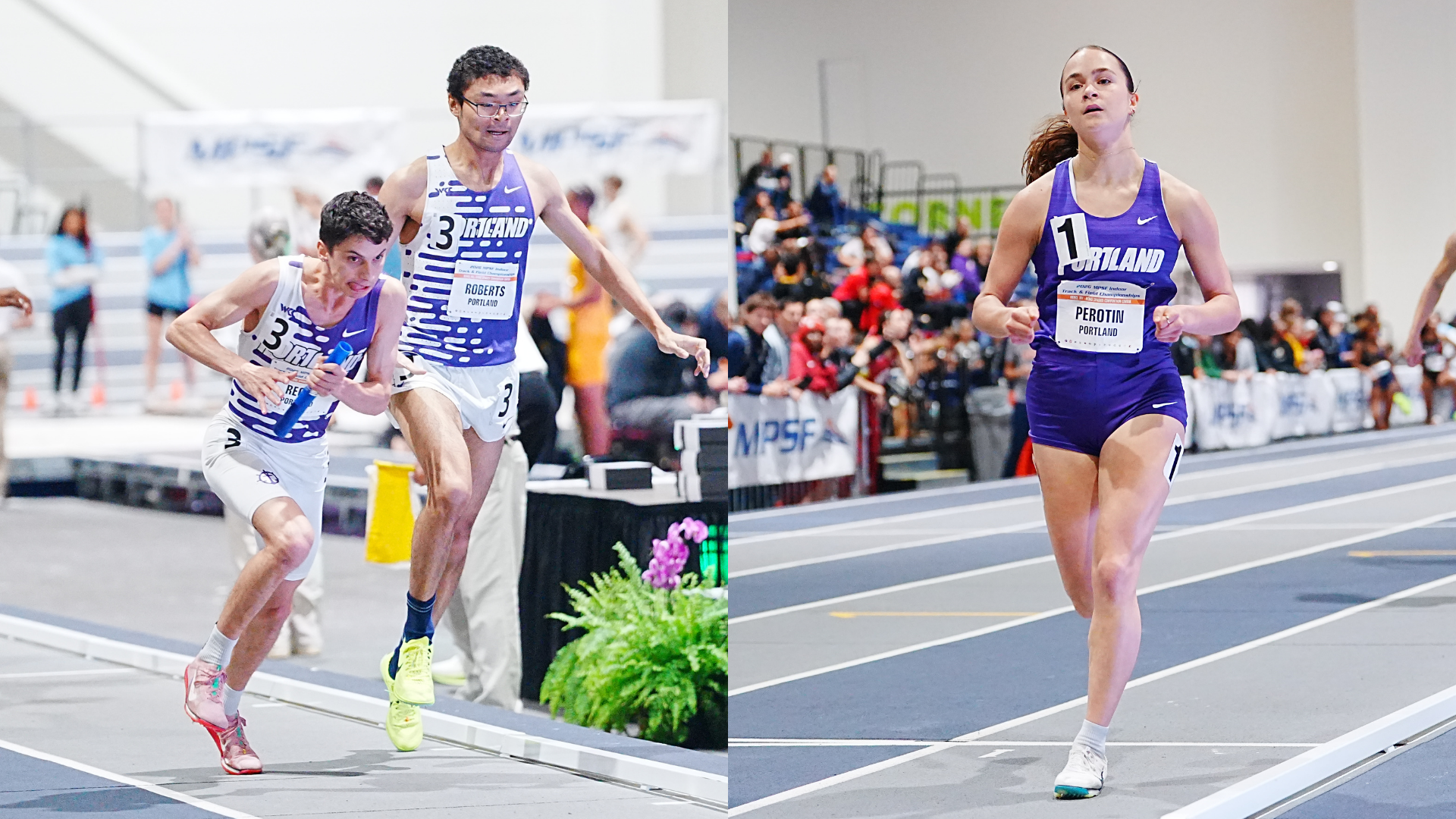 updated MPSF preview