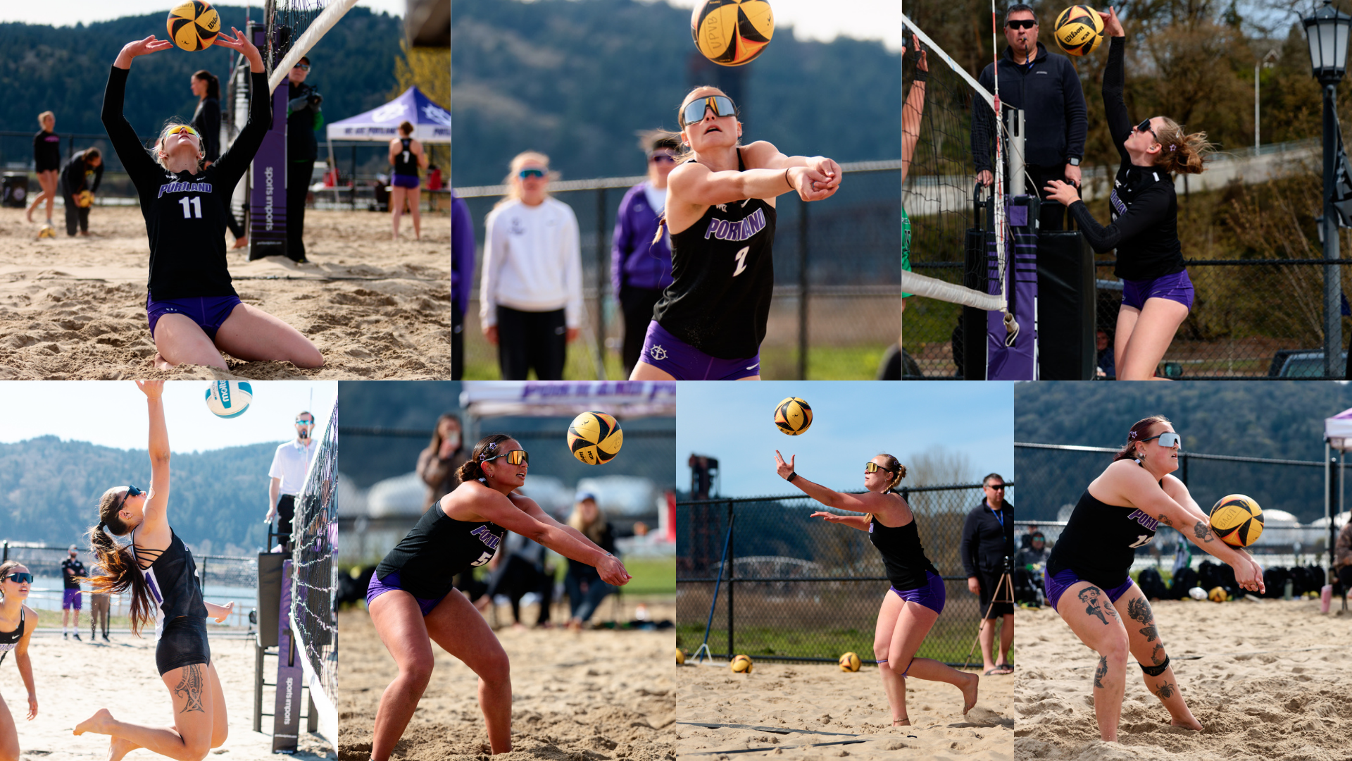 26 BVB Seniors