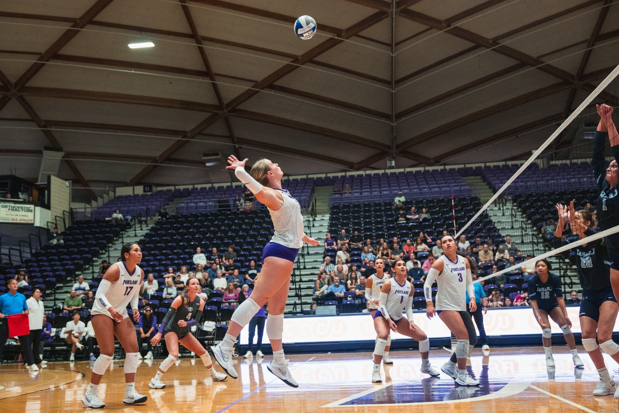 WVB Preview