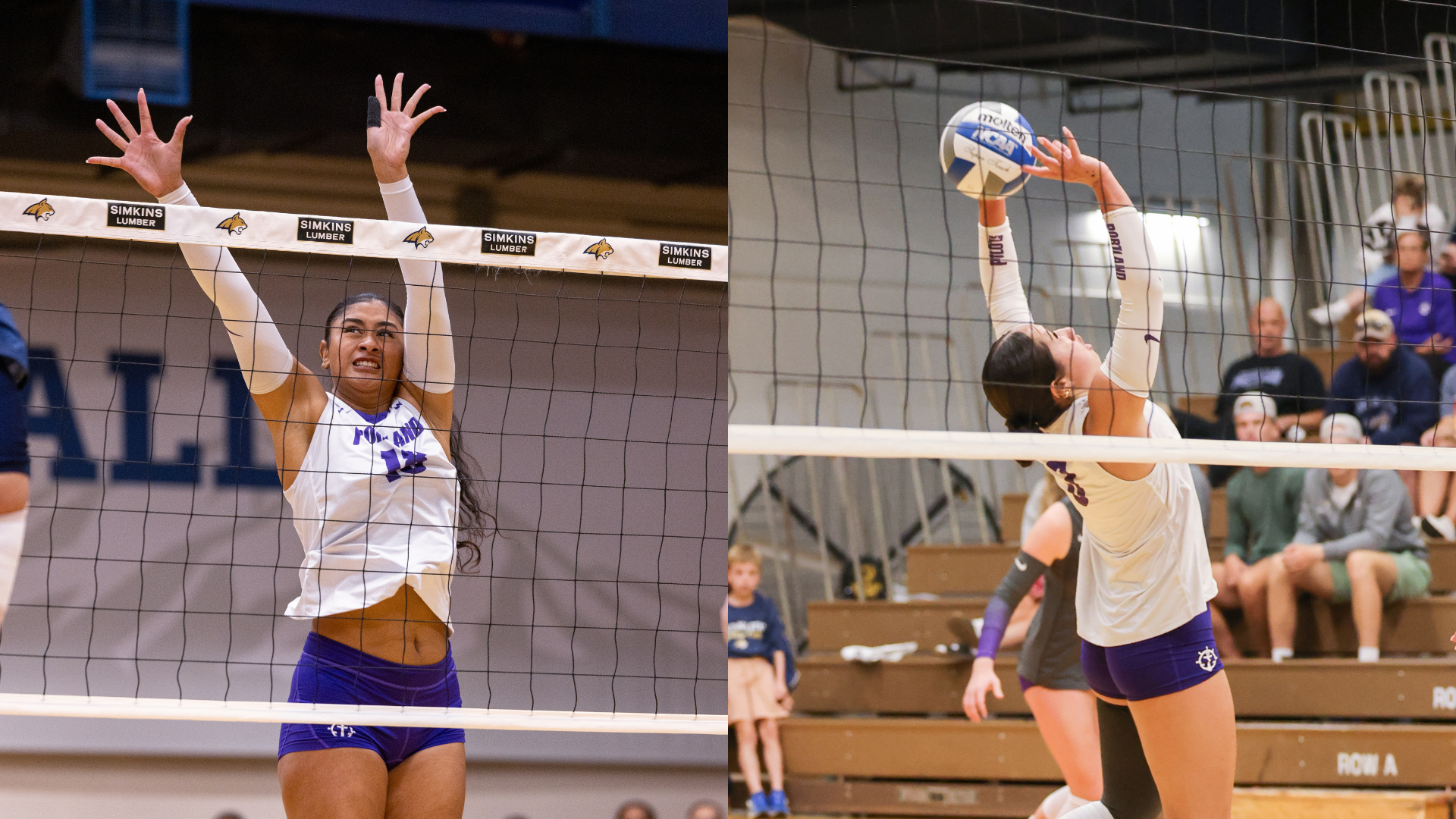 VB All-Tournament #2