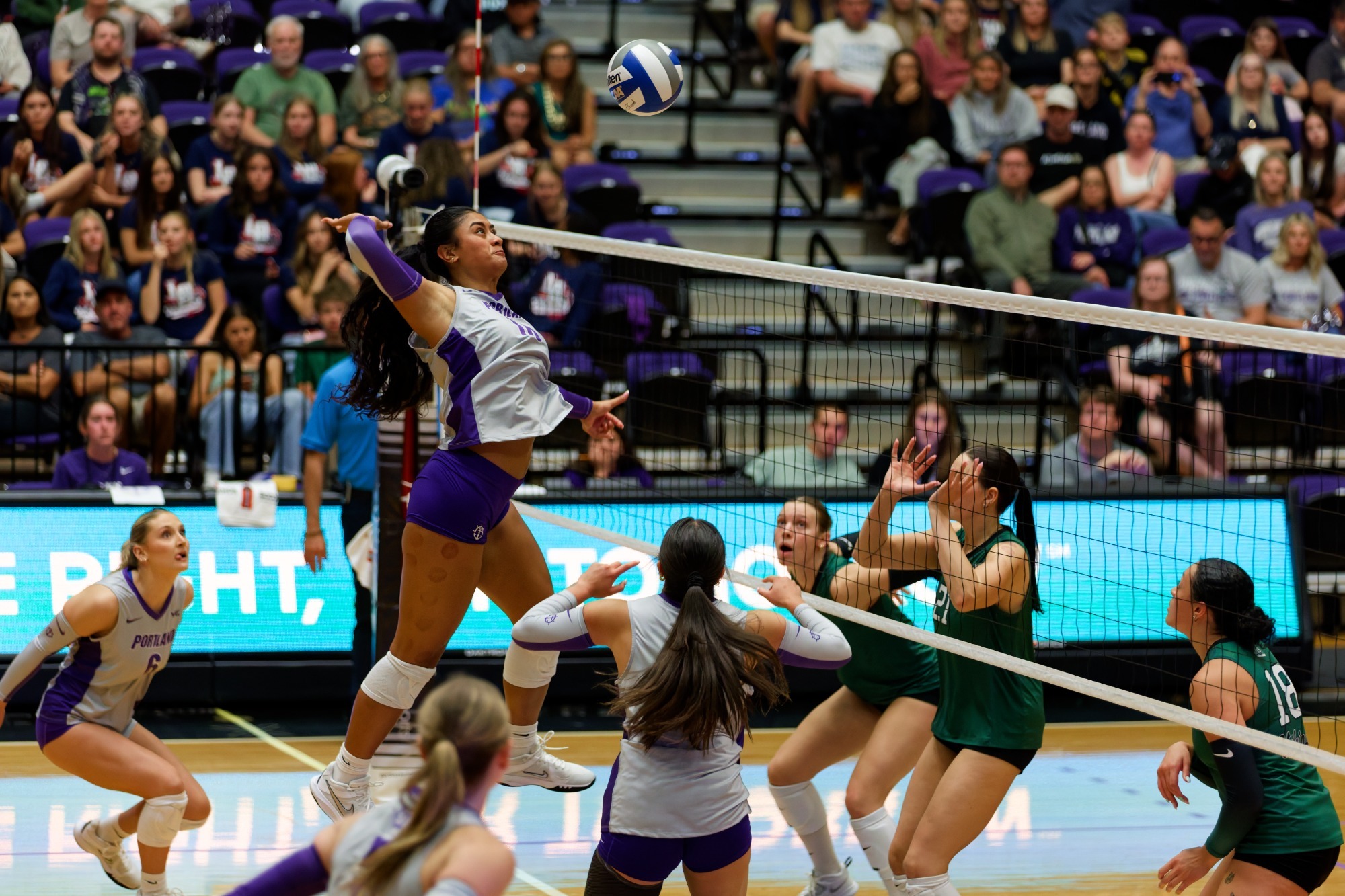 2026 WVB Preview