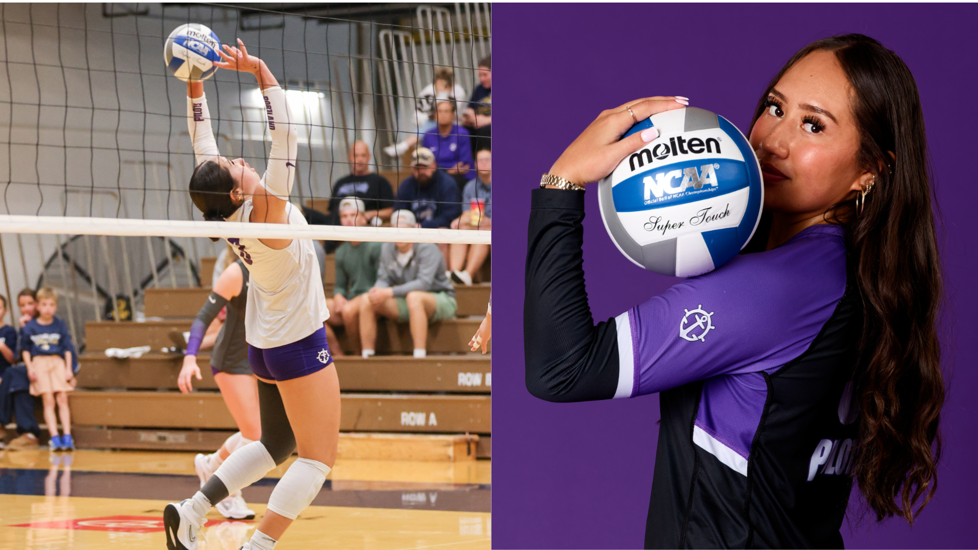 Hoeft- VB POW