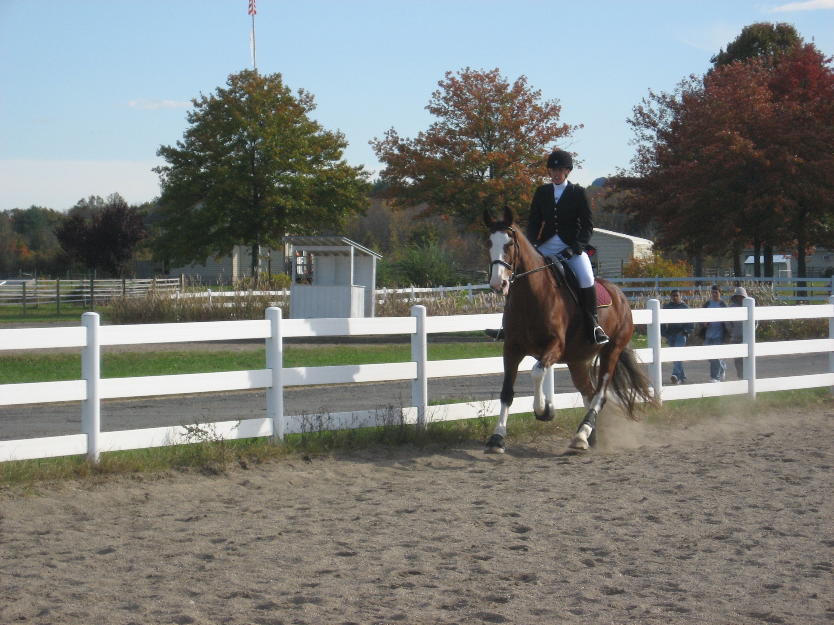 Post Equine
