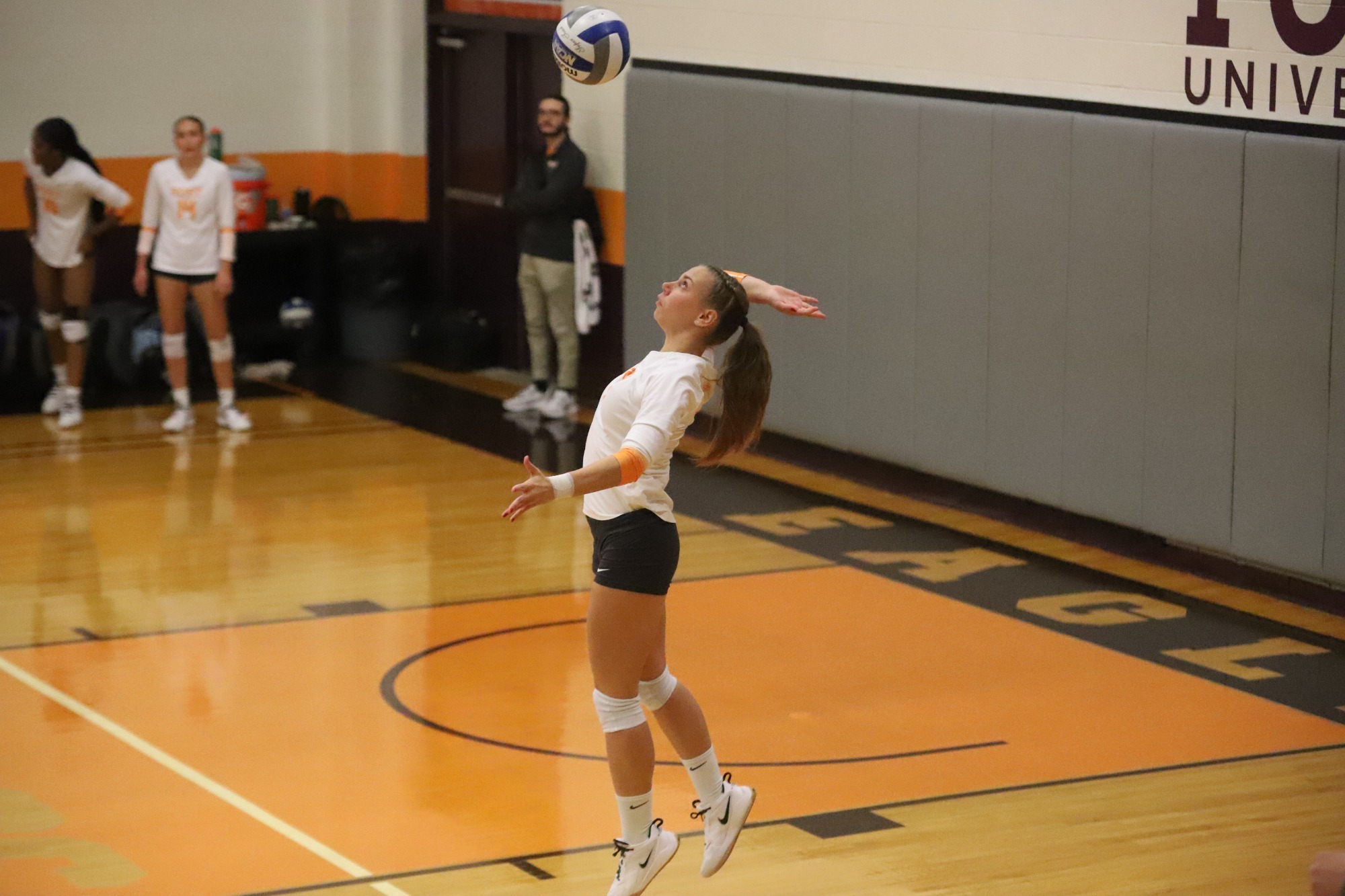 Vivien Andrea Feharvari