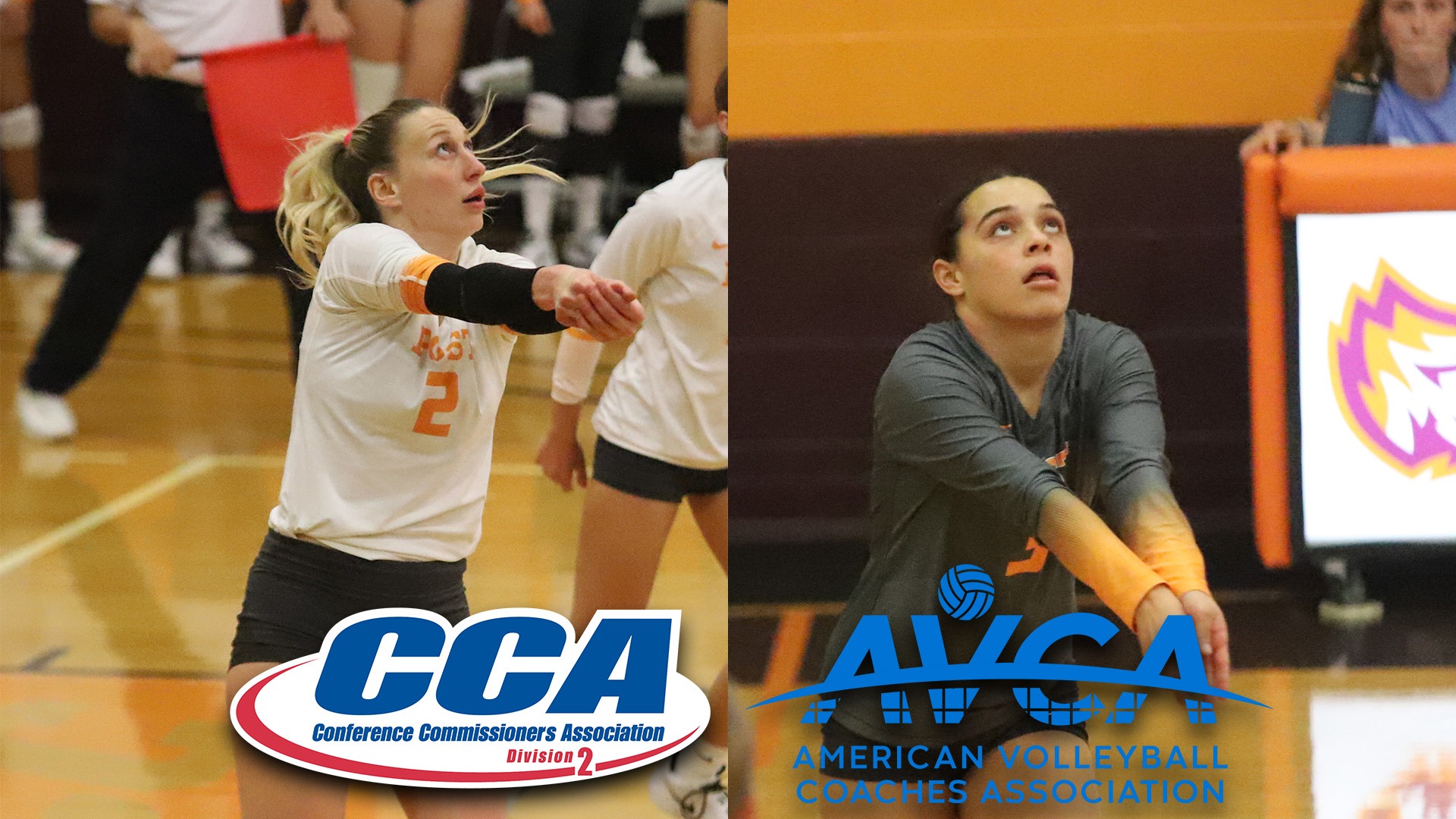 All-East Region WVB 2025 AVCA/D2CCA