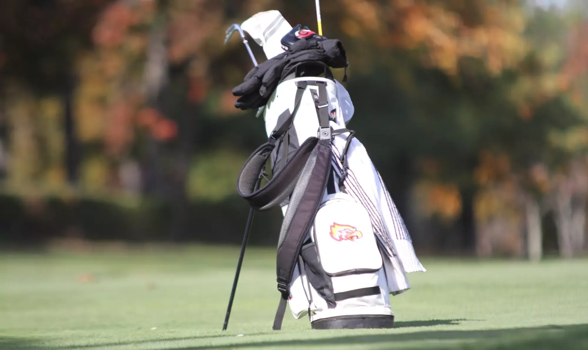 MGOLF Consideration 2025