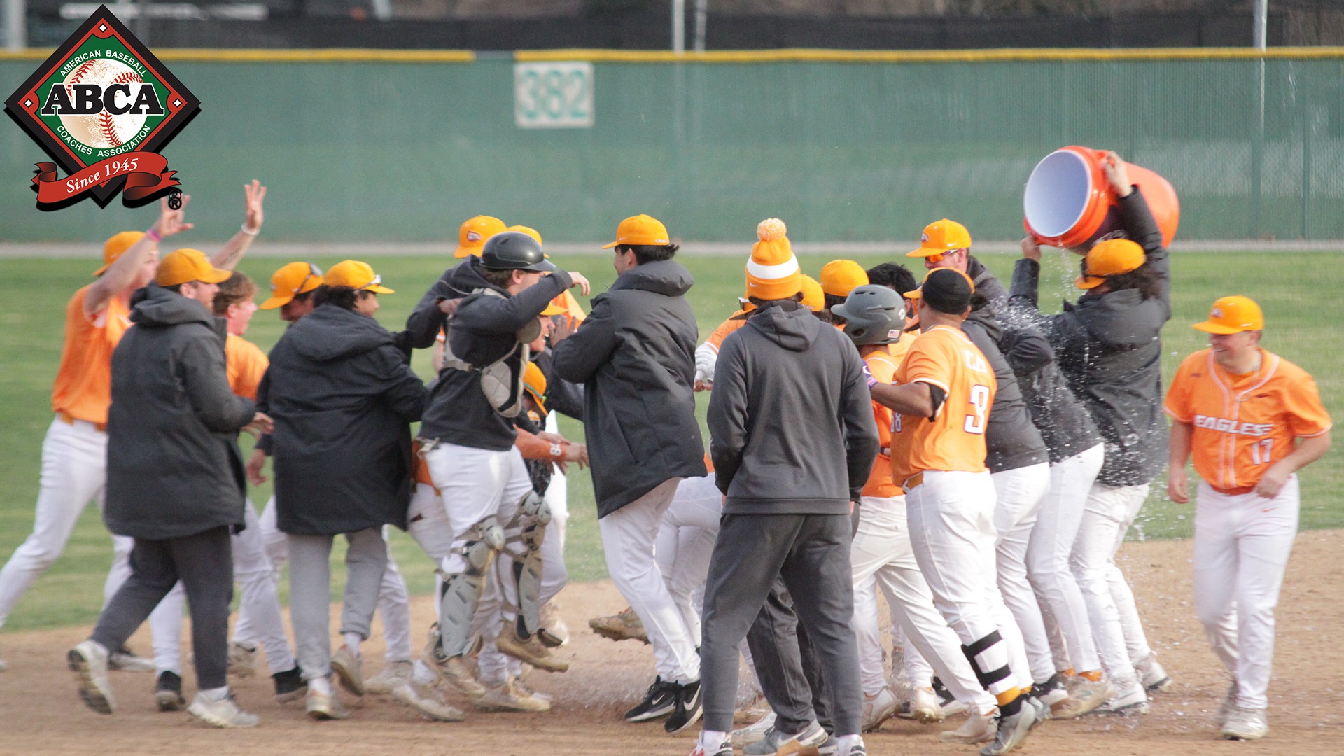 Baseball ABCA Award 2025