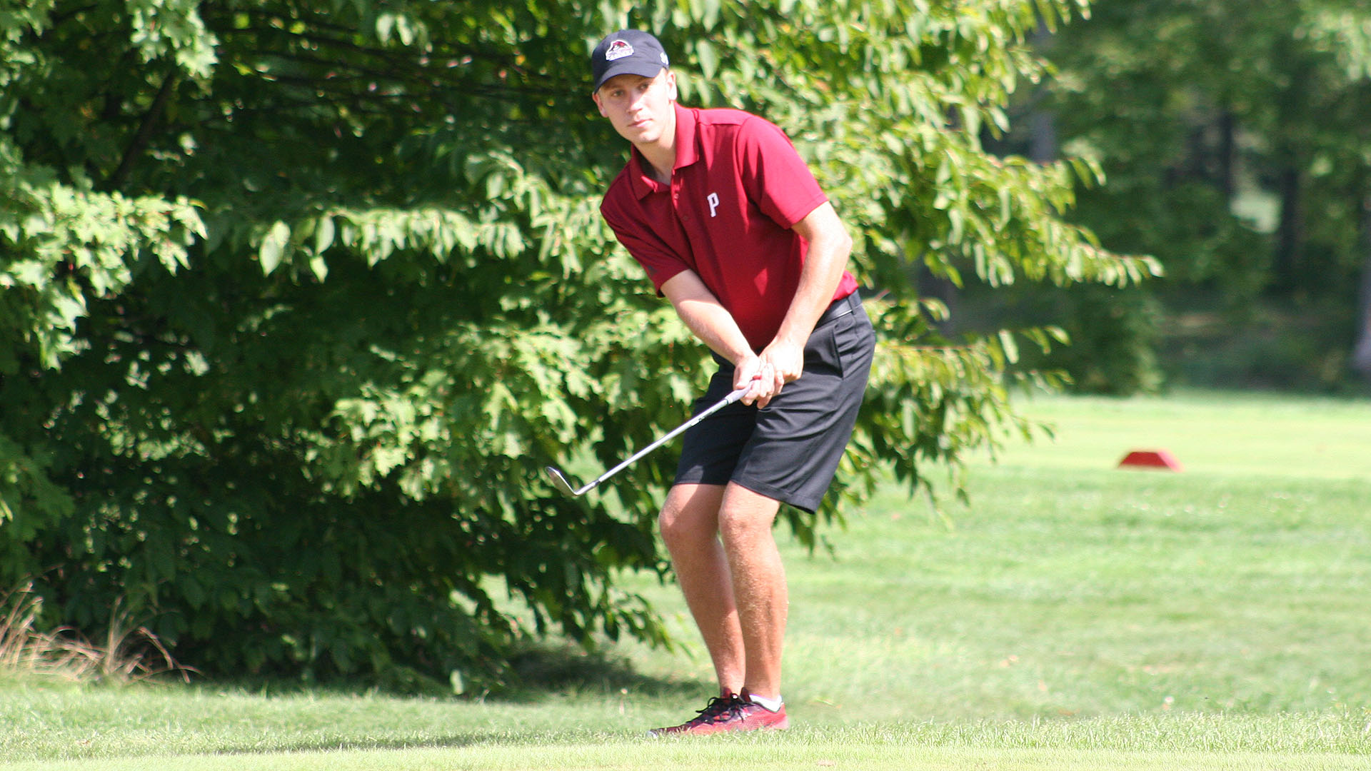 Devin Caples chips onto the green at the 2018 Bears Fall Invitational on 9/4/18.