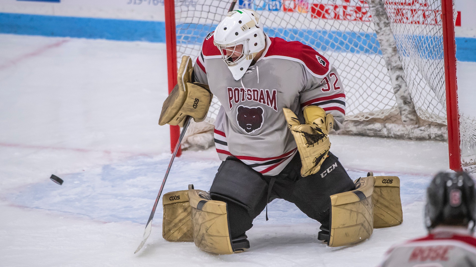 Stephen Friedland Men's Ice Hockey SUNY Potsdam Athletics