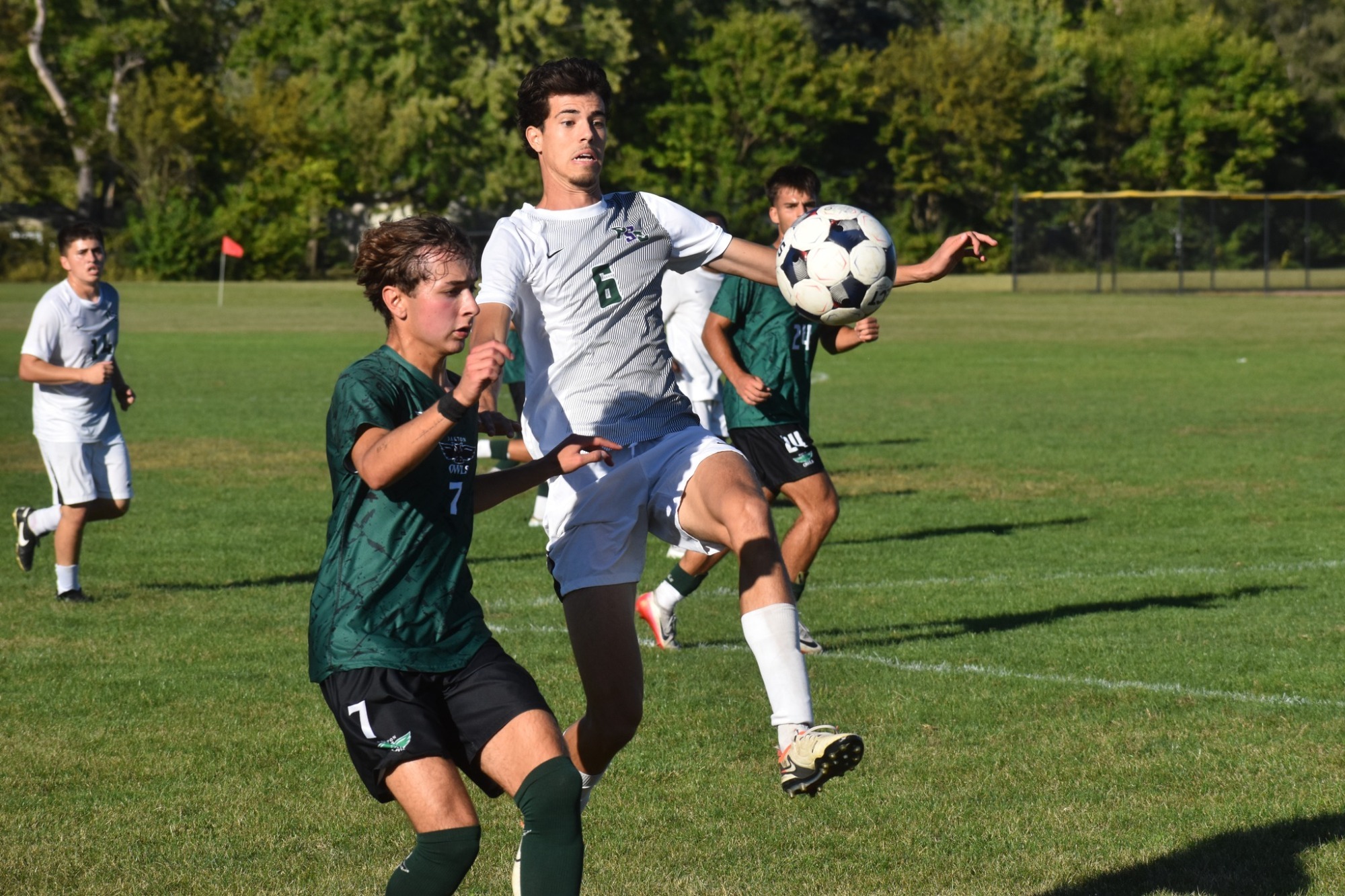 Hudson Ferreira vs Oakton