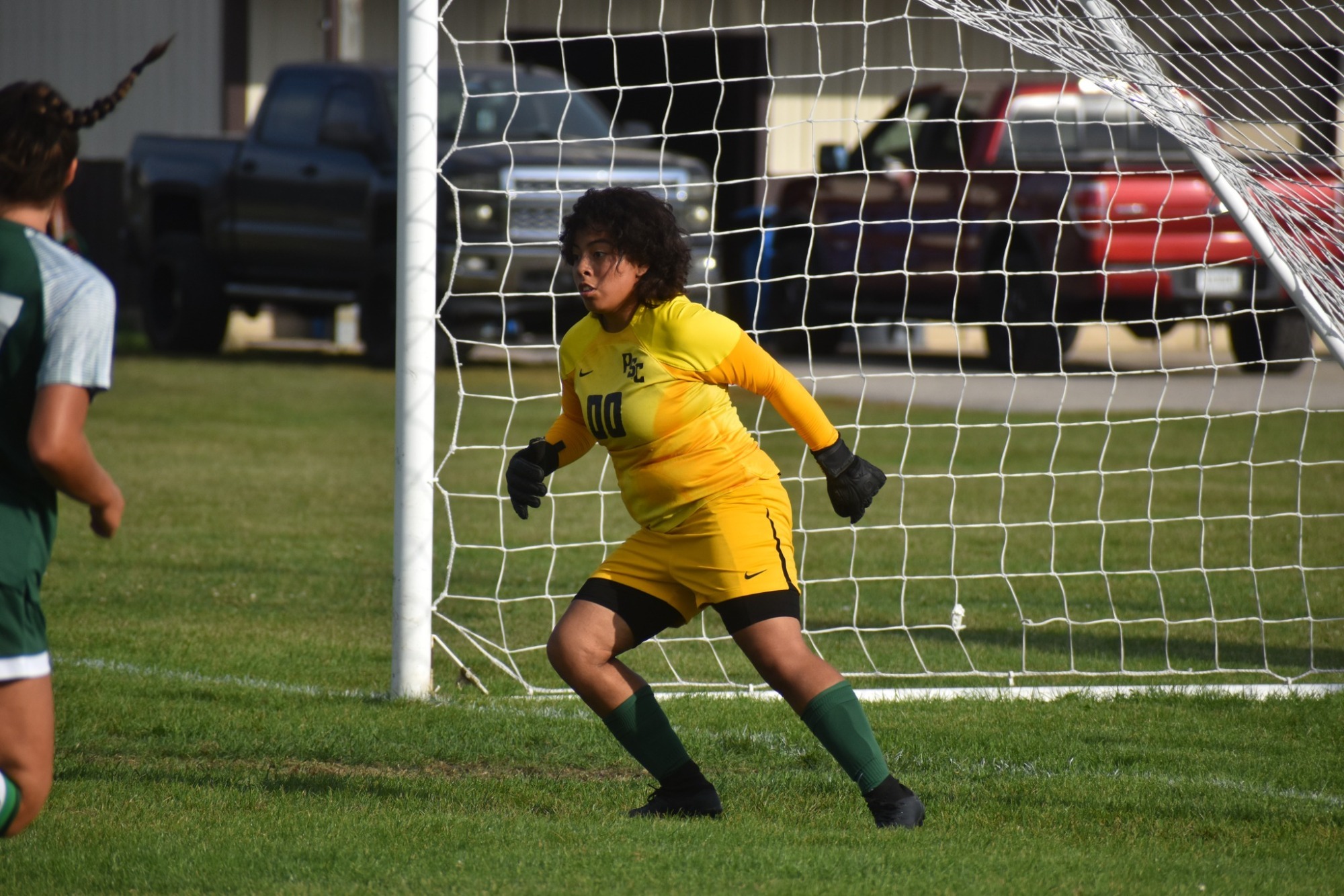 Lily Sanchez vs. MVCC