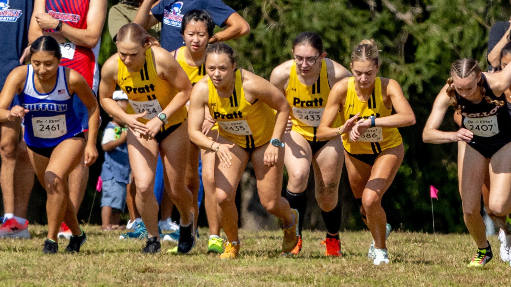 Women's Cross Country at the starting line for the Golden Eagle Invite