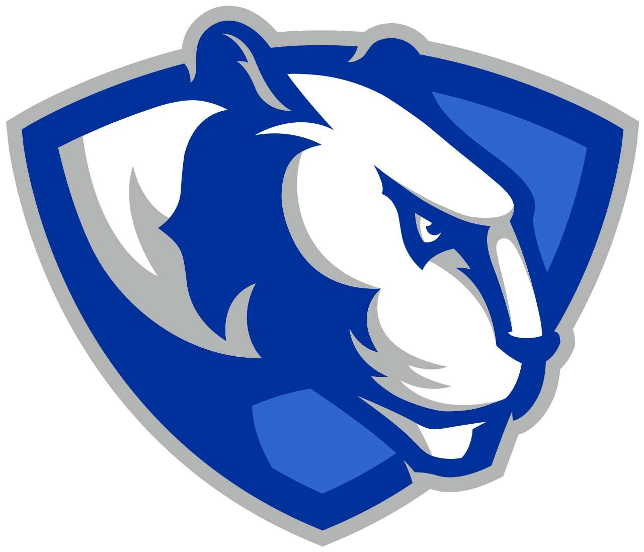 Eastern Illinois logo