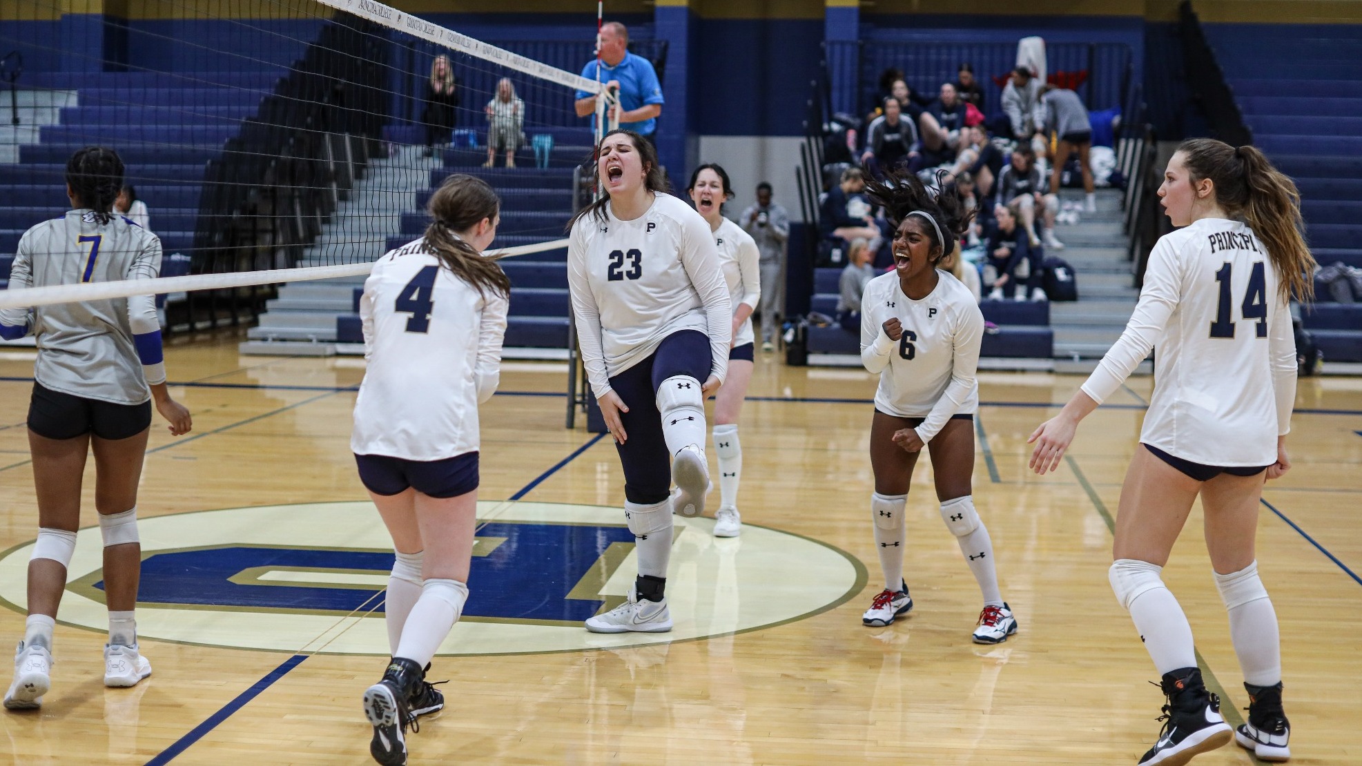 vb spalding celebrate 1