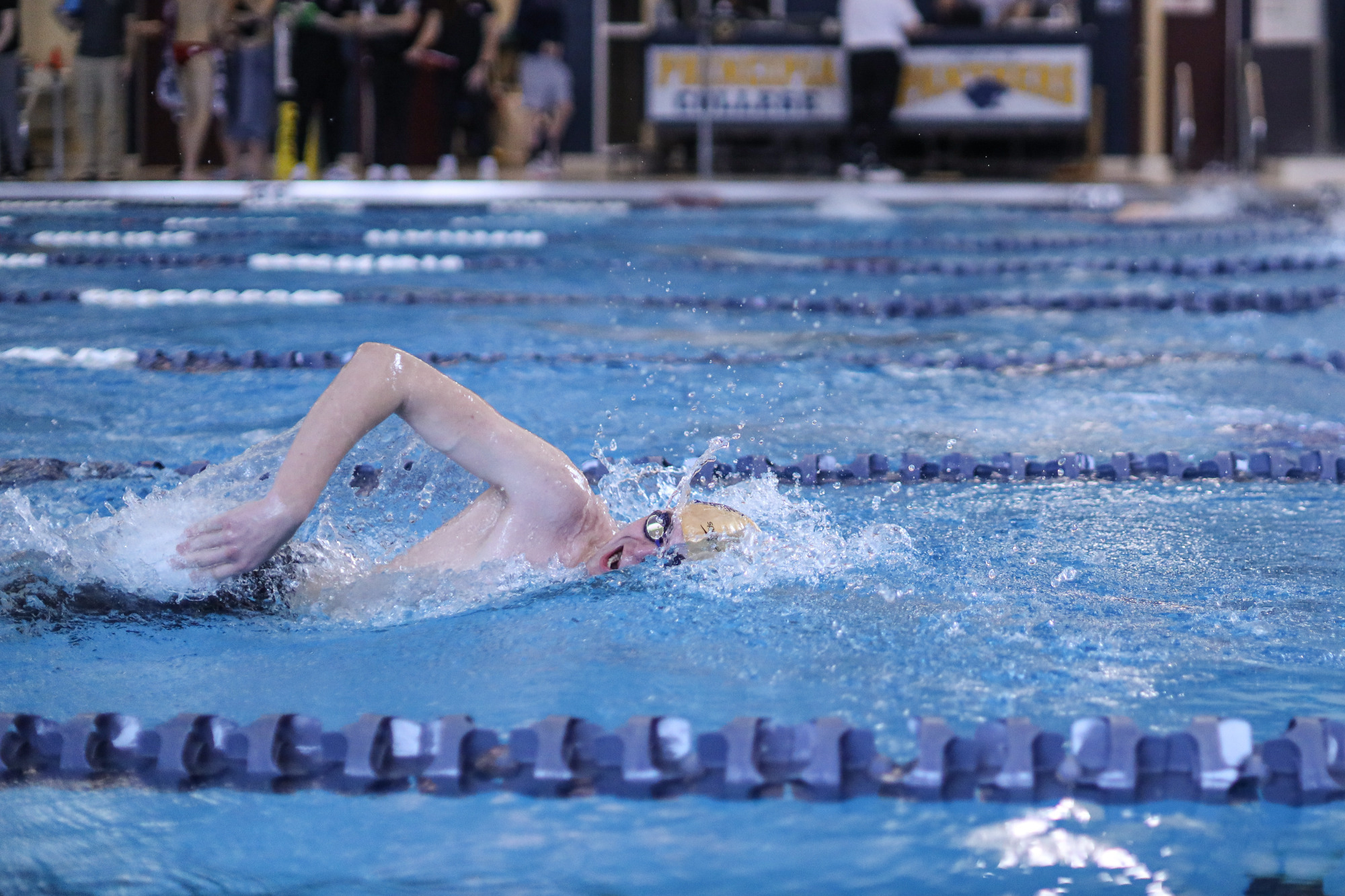 Liberal Arts - Luc FR