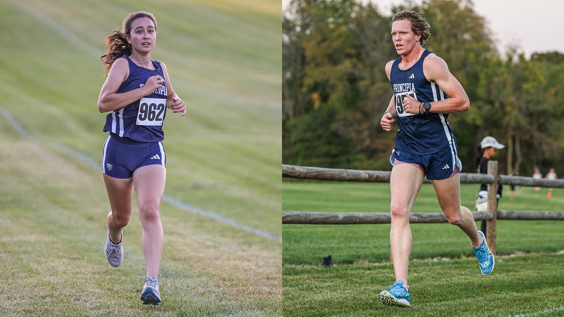 myka rex twilight meet 24