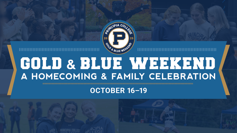 gold & blue weekend 25