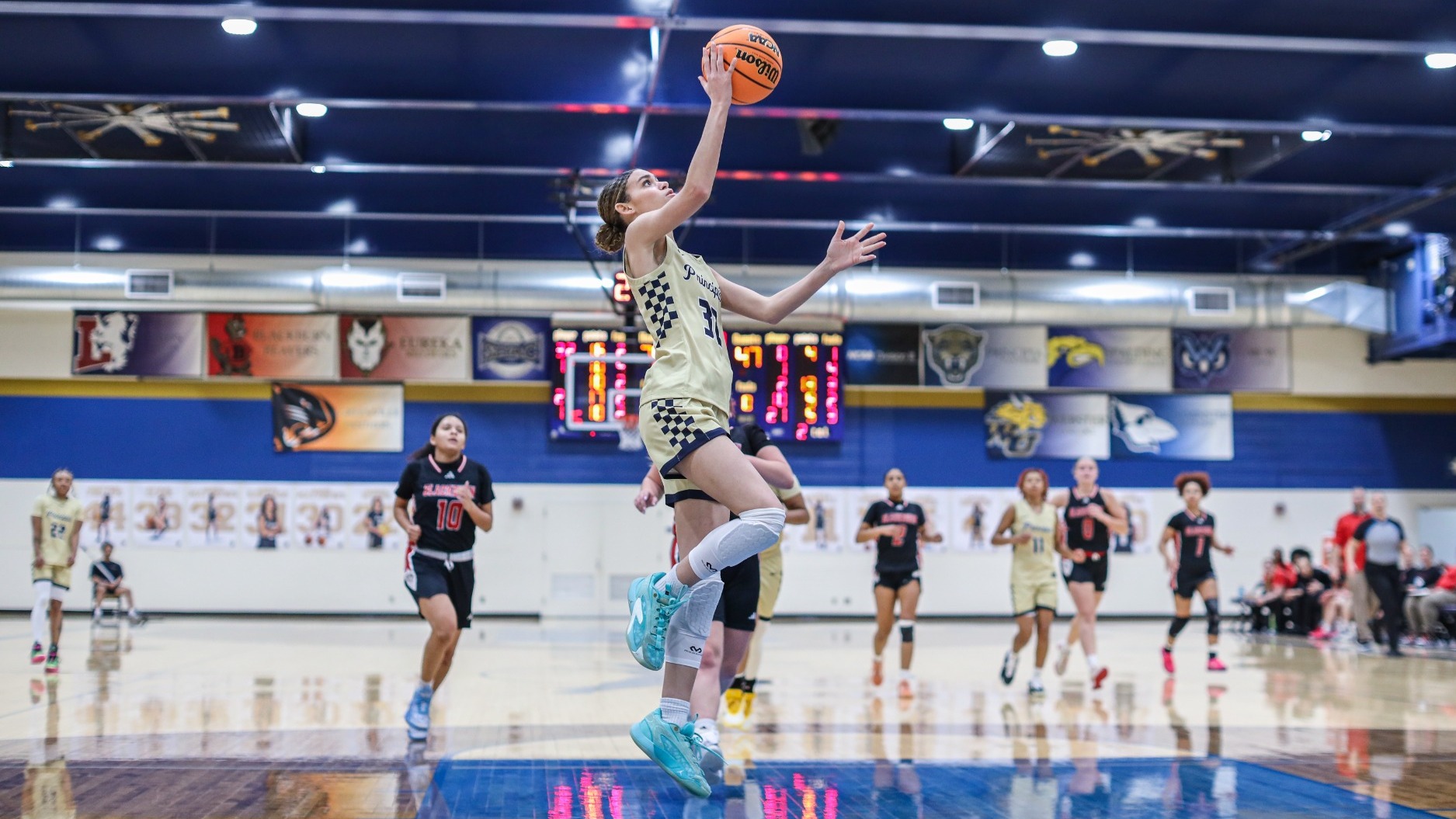 trinniti blackburn 25