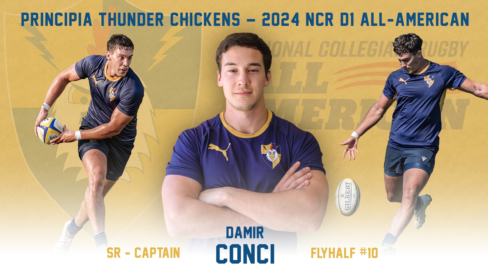 damir conci all-american 24