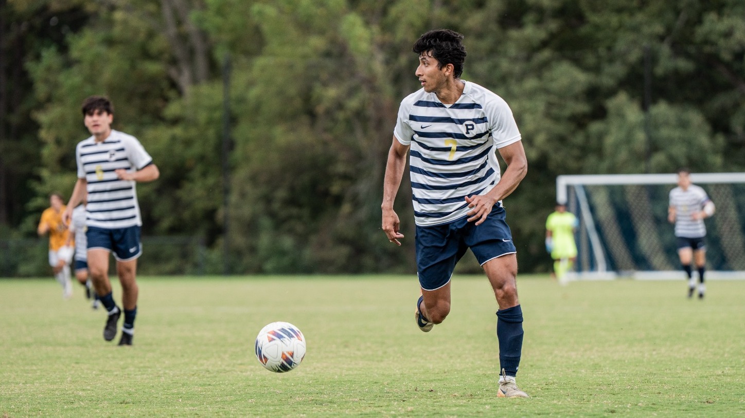 effenberg joya franklin