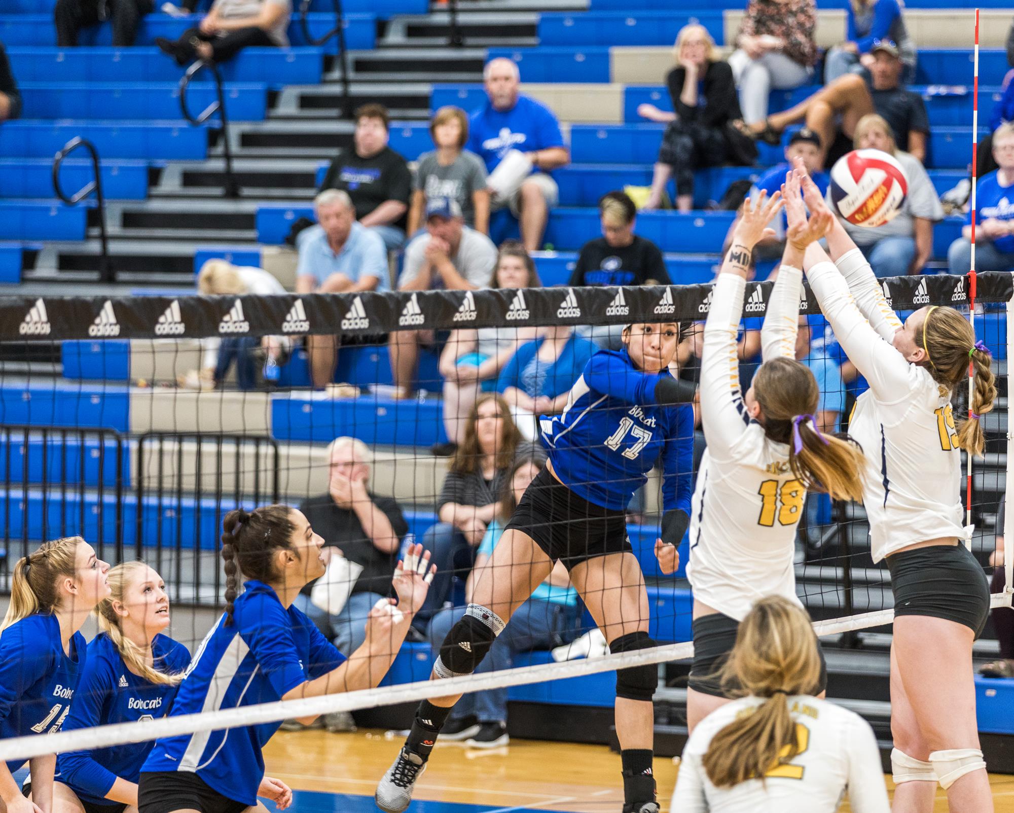Nadja Janjevic Volleyball Peru State College Athletics