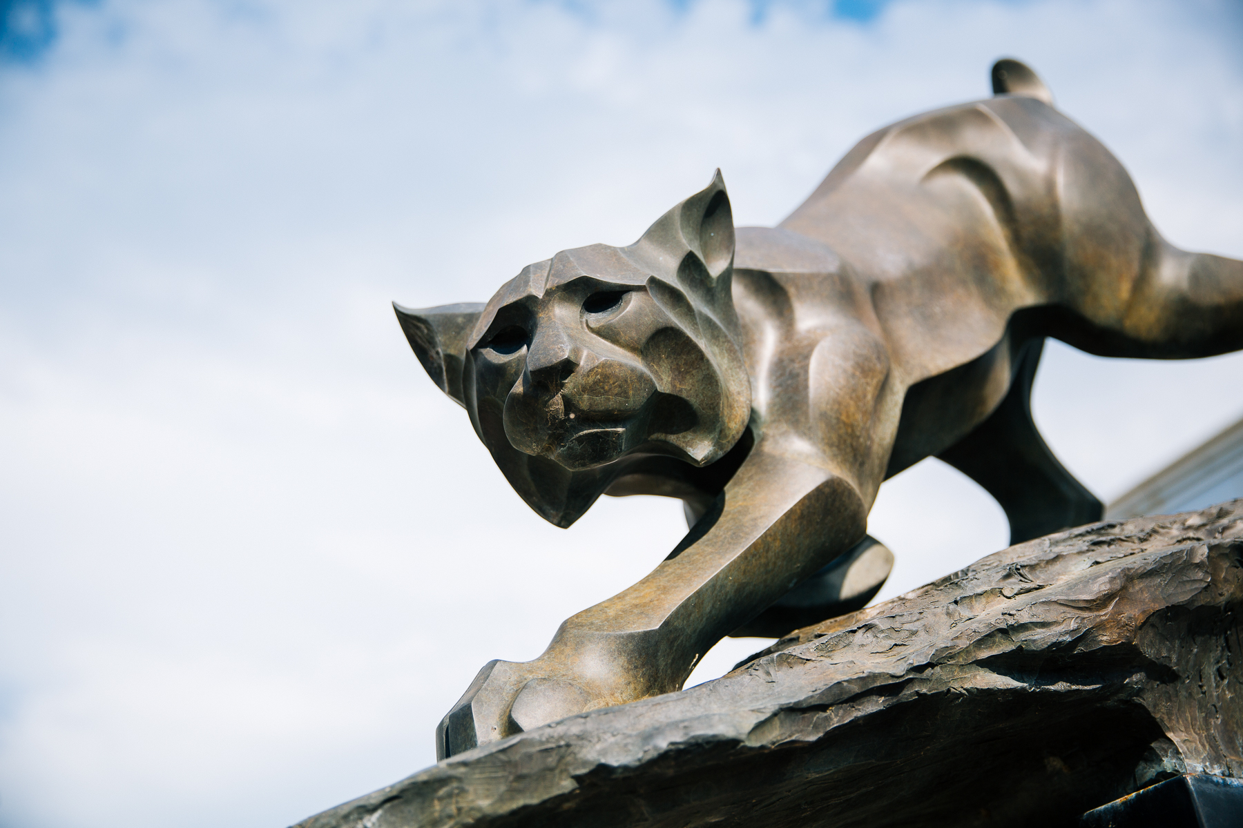 Bobcat Outside of the Al Wheeler Activity Center