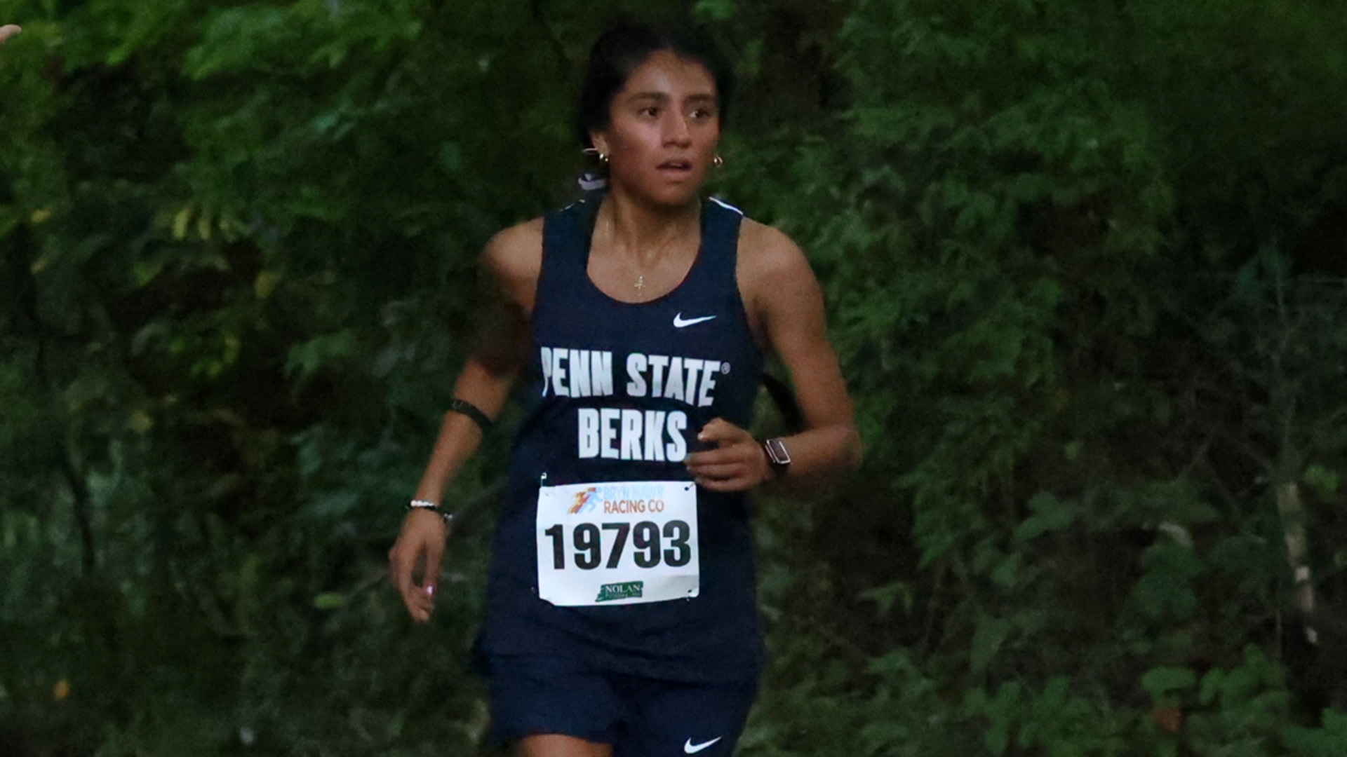 Strittmatter at LVC Last Chance