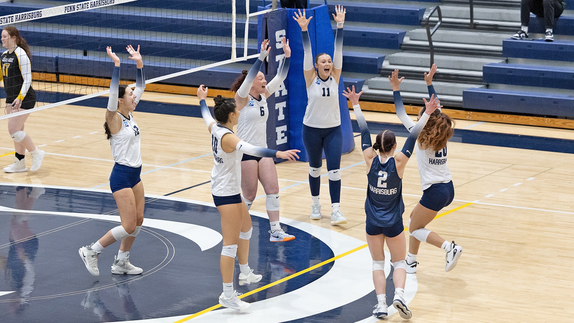 penn state harrisburg's women's volleyball team celebrates after scoring a point against cedar crest
