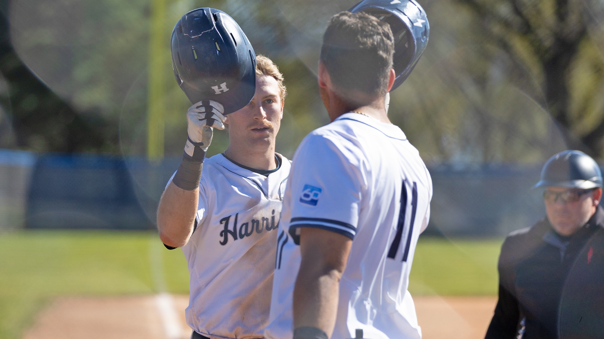 blaine waltimyer taps helmets with demetre koutras after hitting a home run in a win over penn state abington in 2026