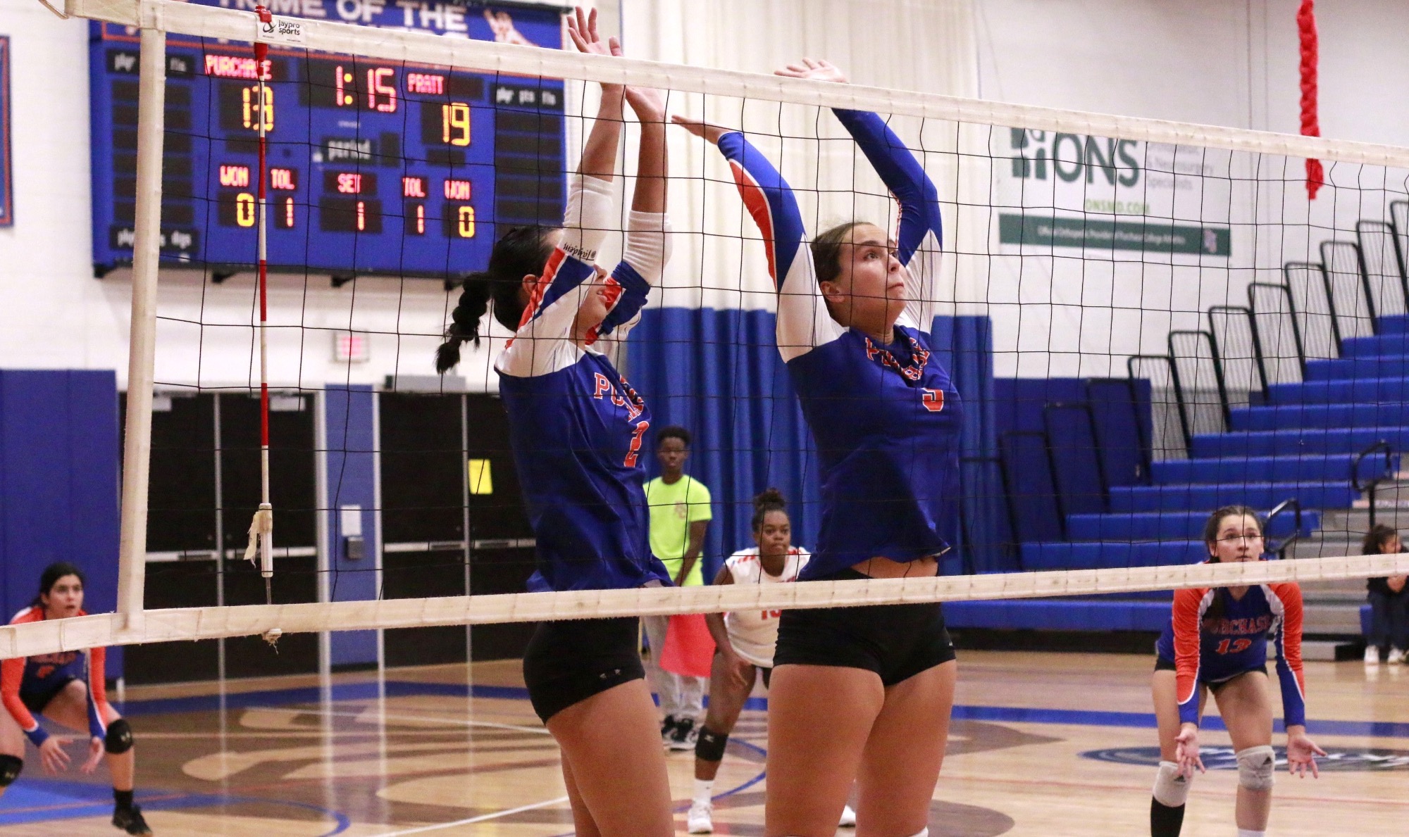 Ava Landreth 2023 Women's Volleyball Purchase College Athletics