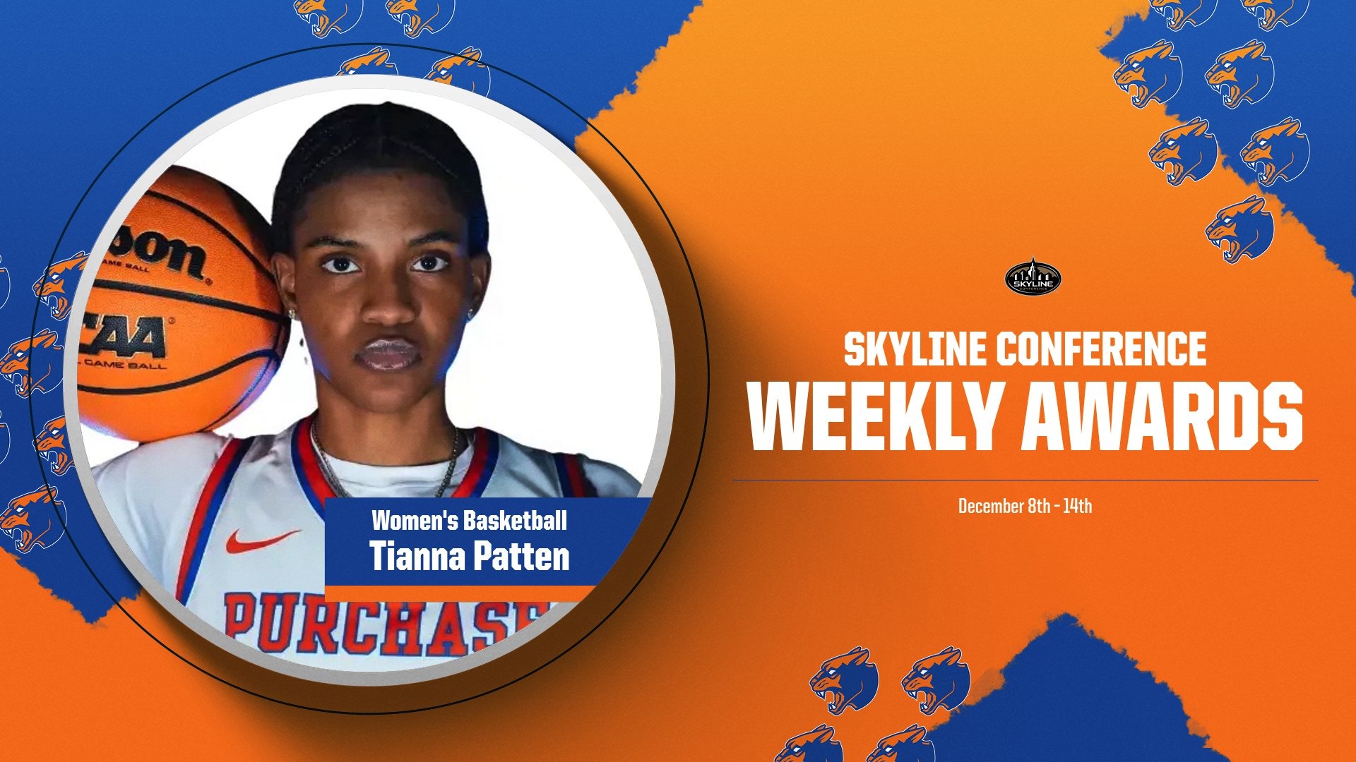 Skyline Weekly Patten