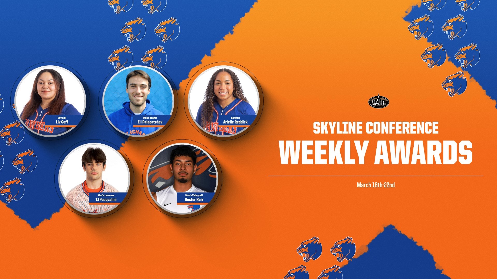 Skyline Award Winners