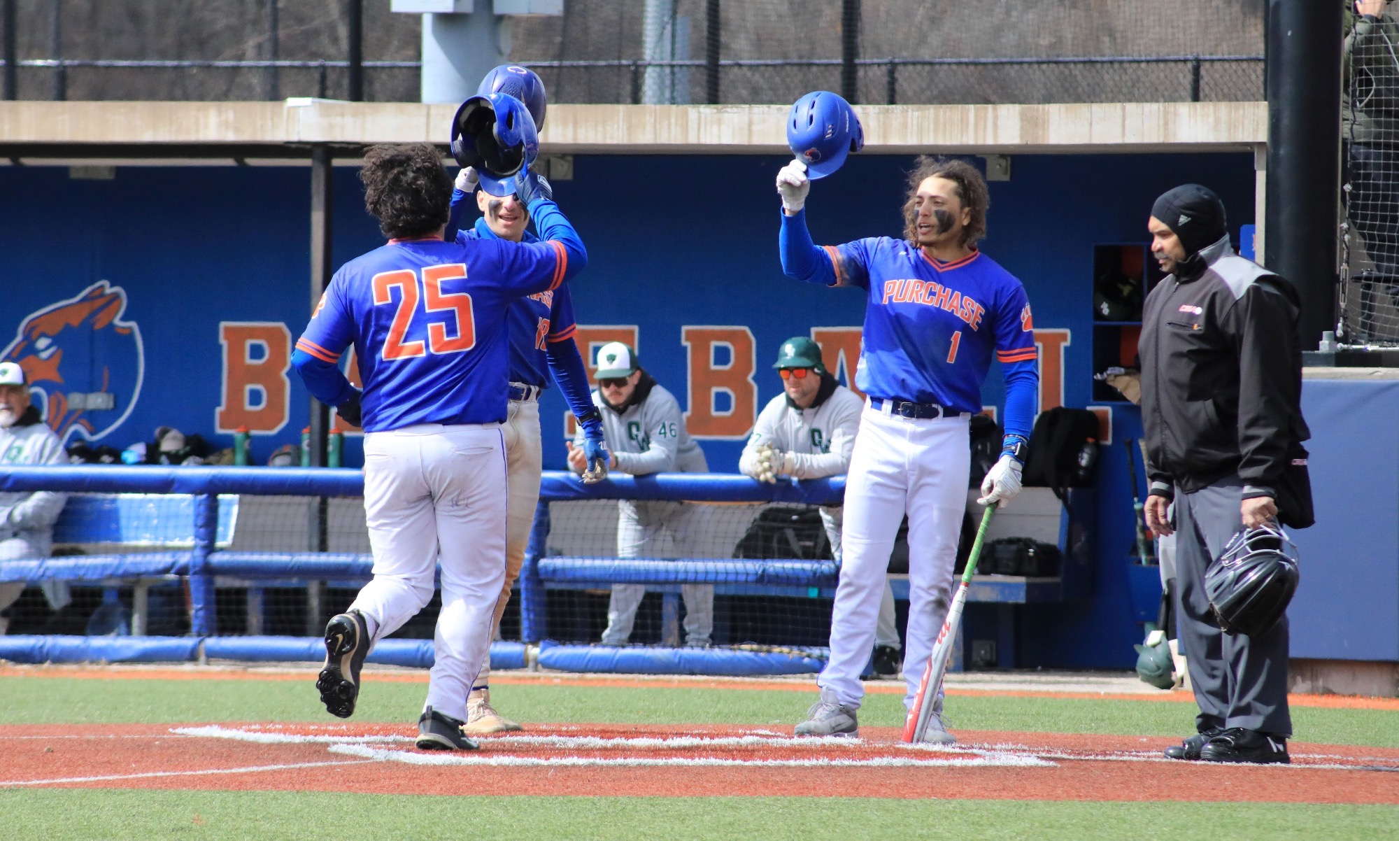 Baseball Homerun Celebration