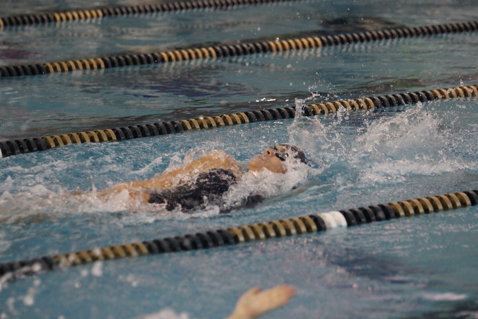 Caroline Arakelian 20152016 Women's Swimming & Diving Queens