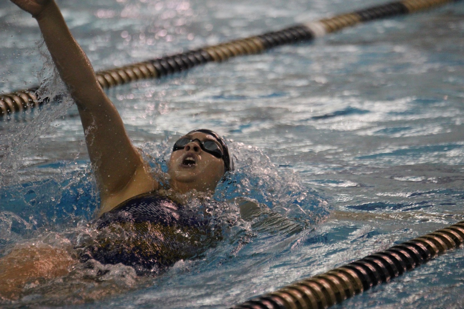 Caroline Arakelian 20152016 Women's Swimming & Diving Queens